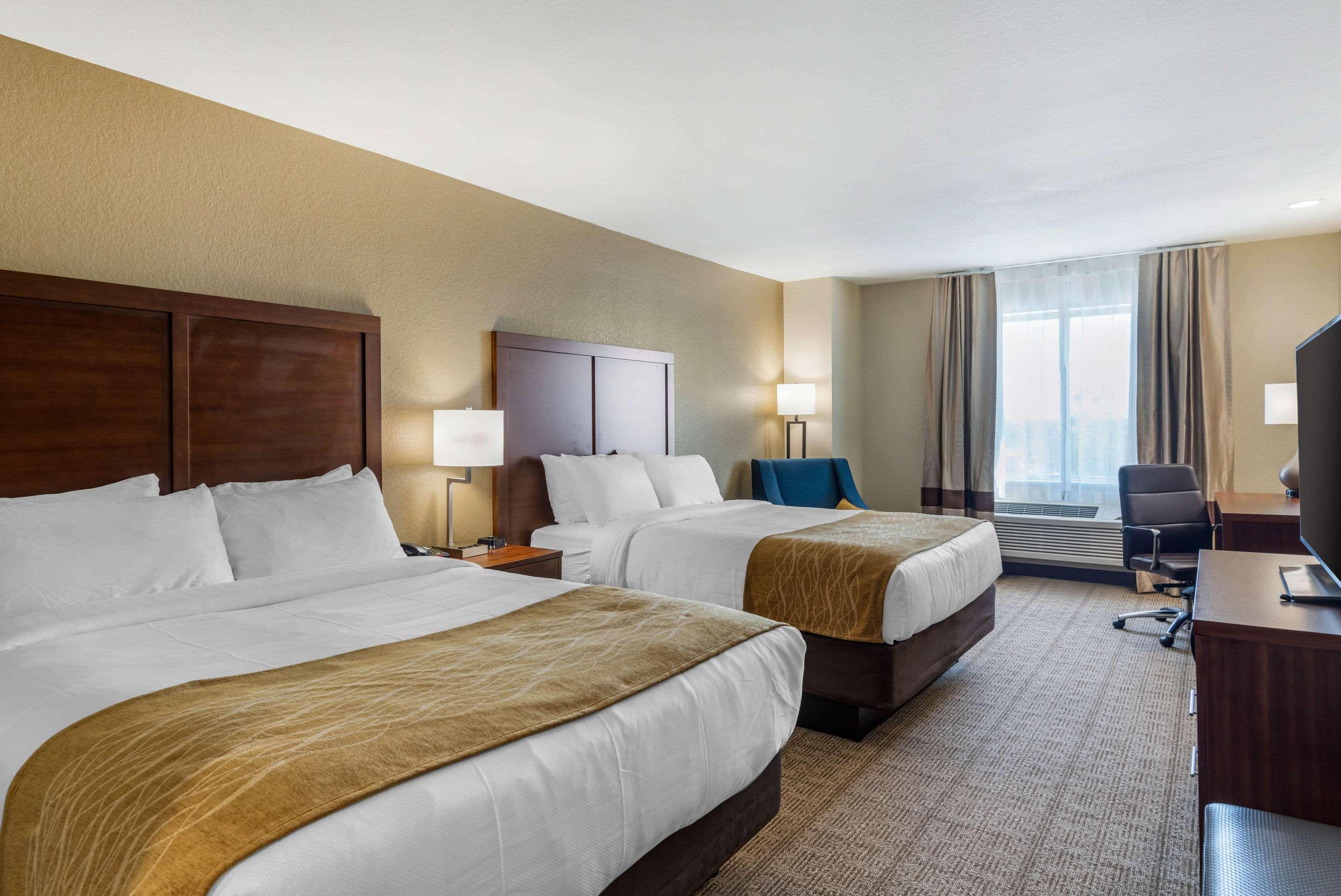 Double Two Queen Beds