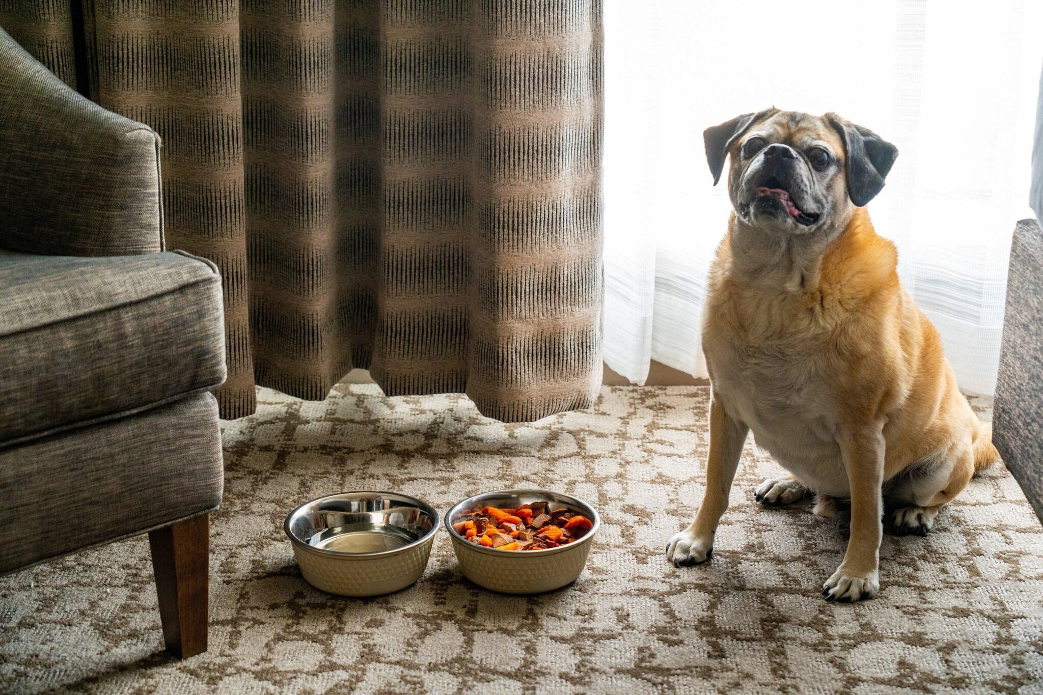 Quadruple Two Queen Beds