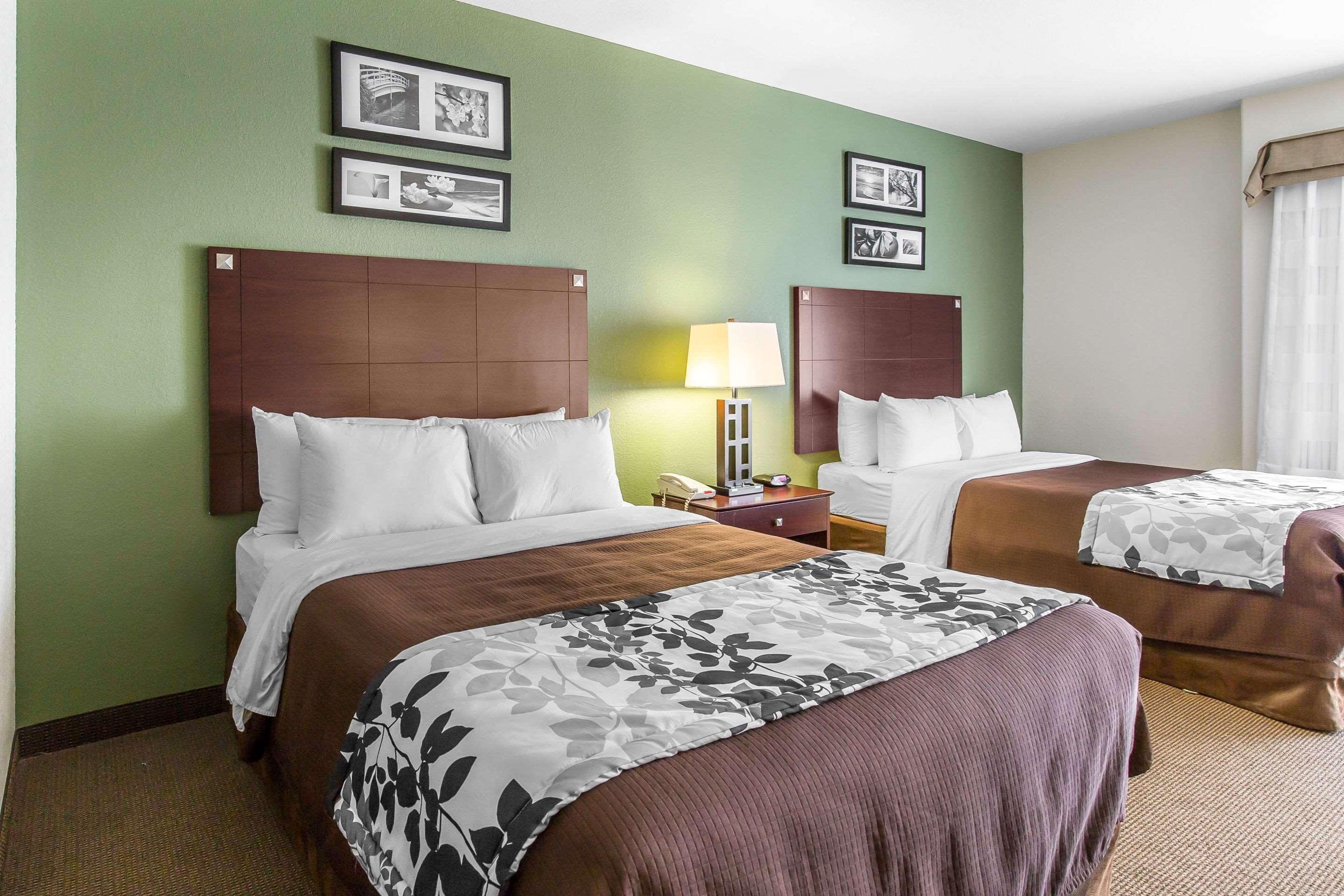 Suite Two Queen Beds