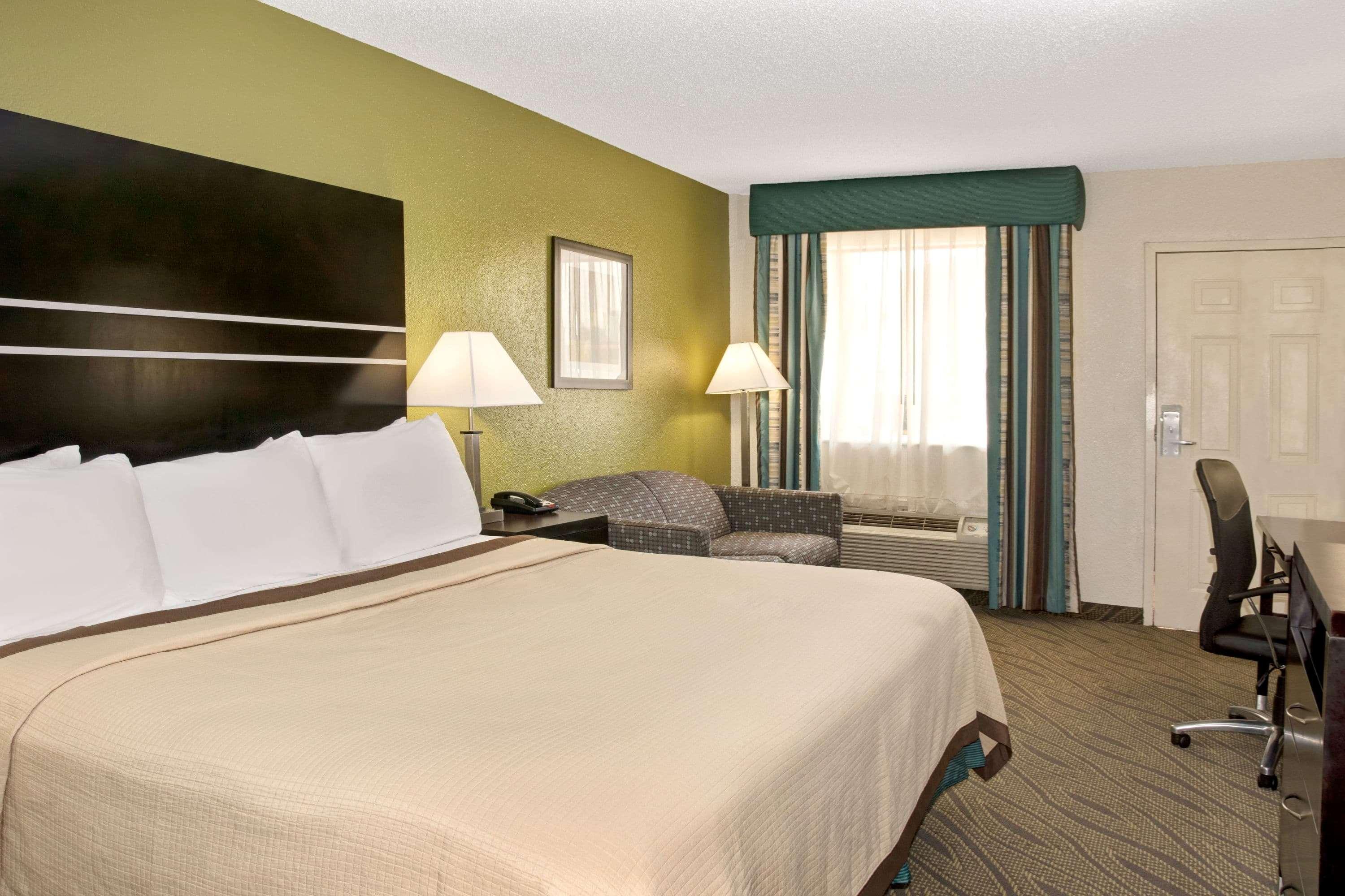 Room King Bed Non Smoking