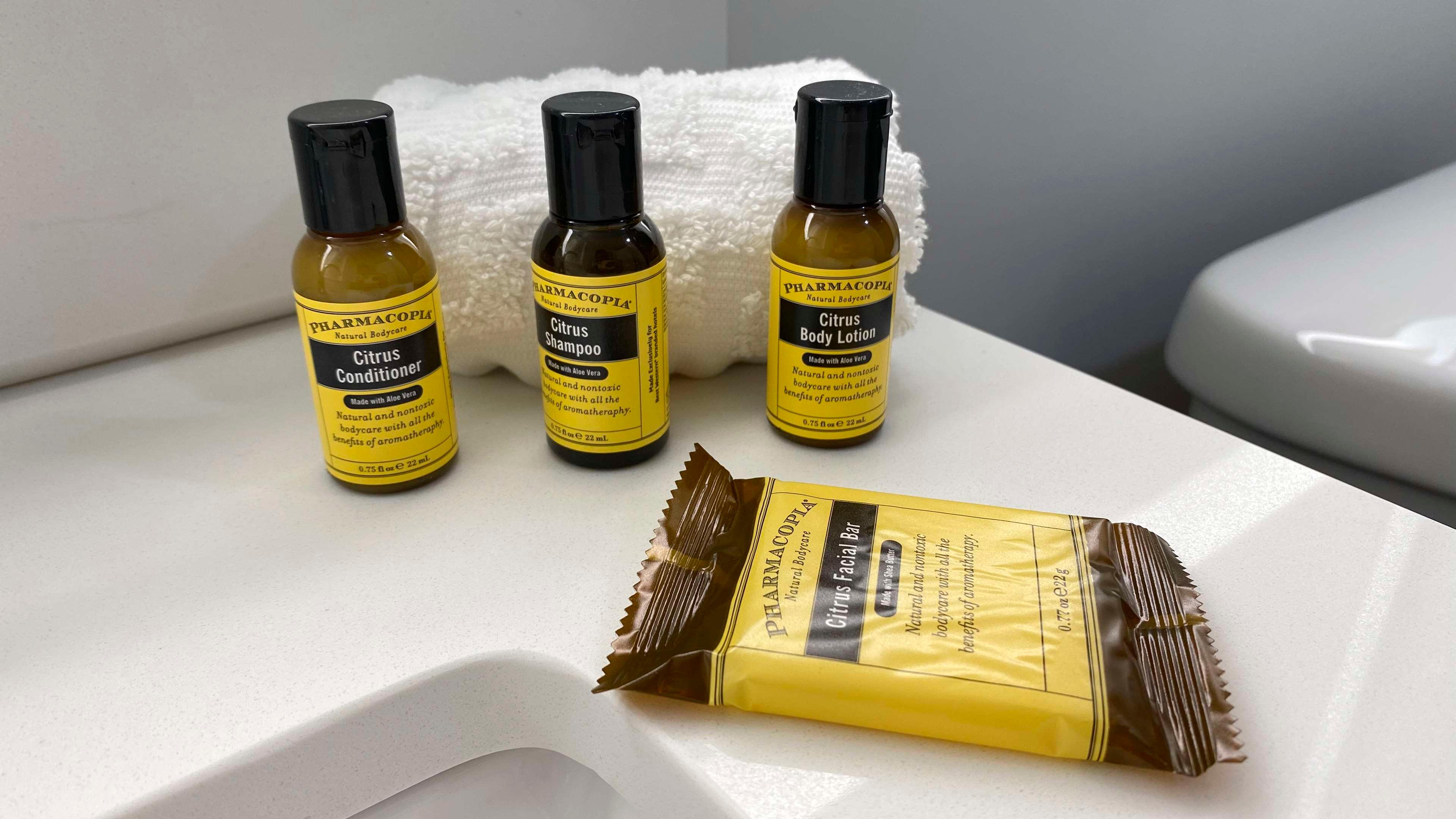 Room Accessible King Size Bed