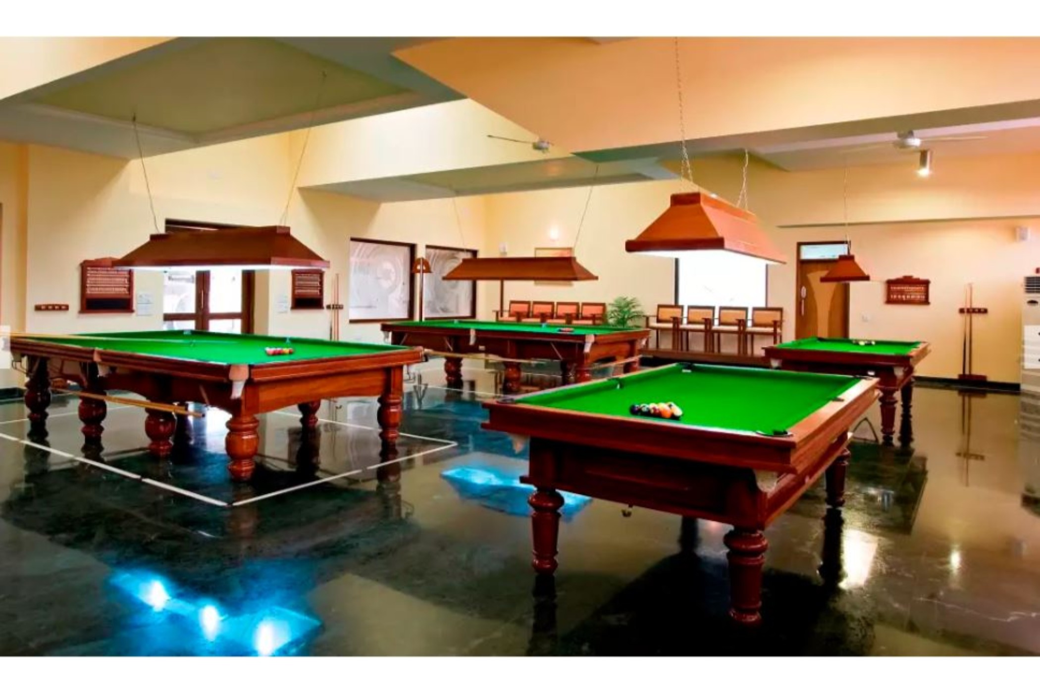 Sports and Entertainment