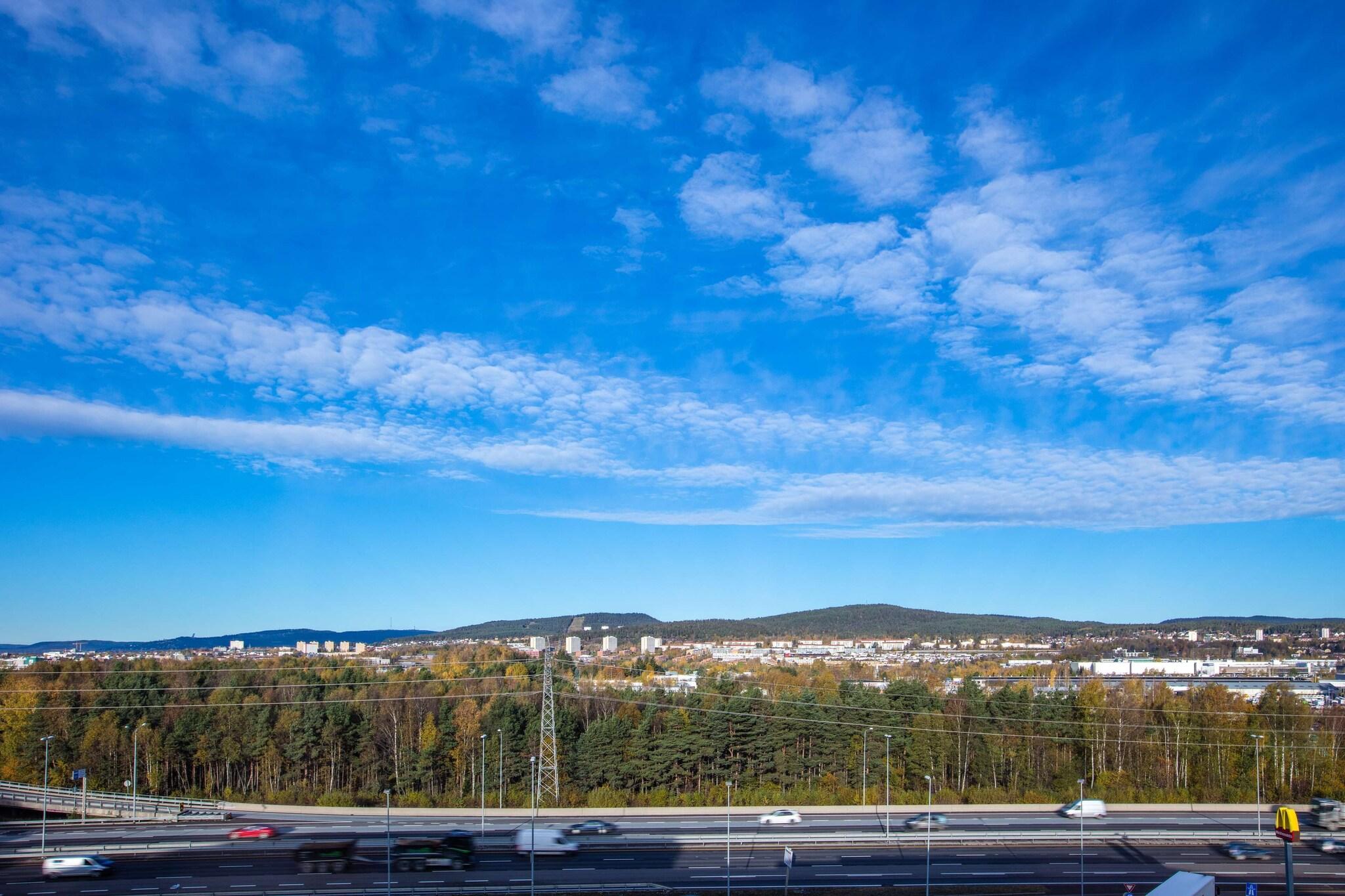 Family Room Premium Queen Bed