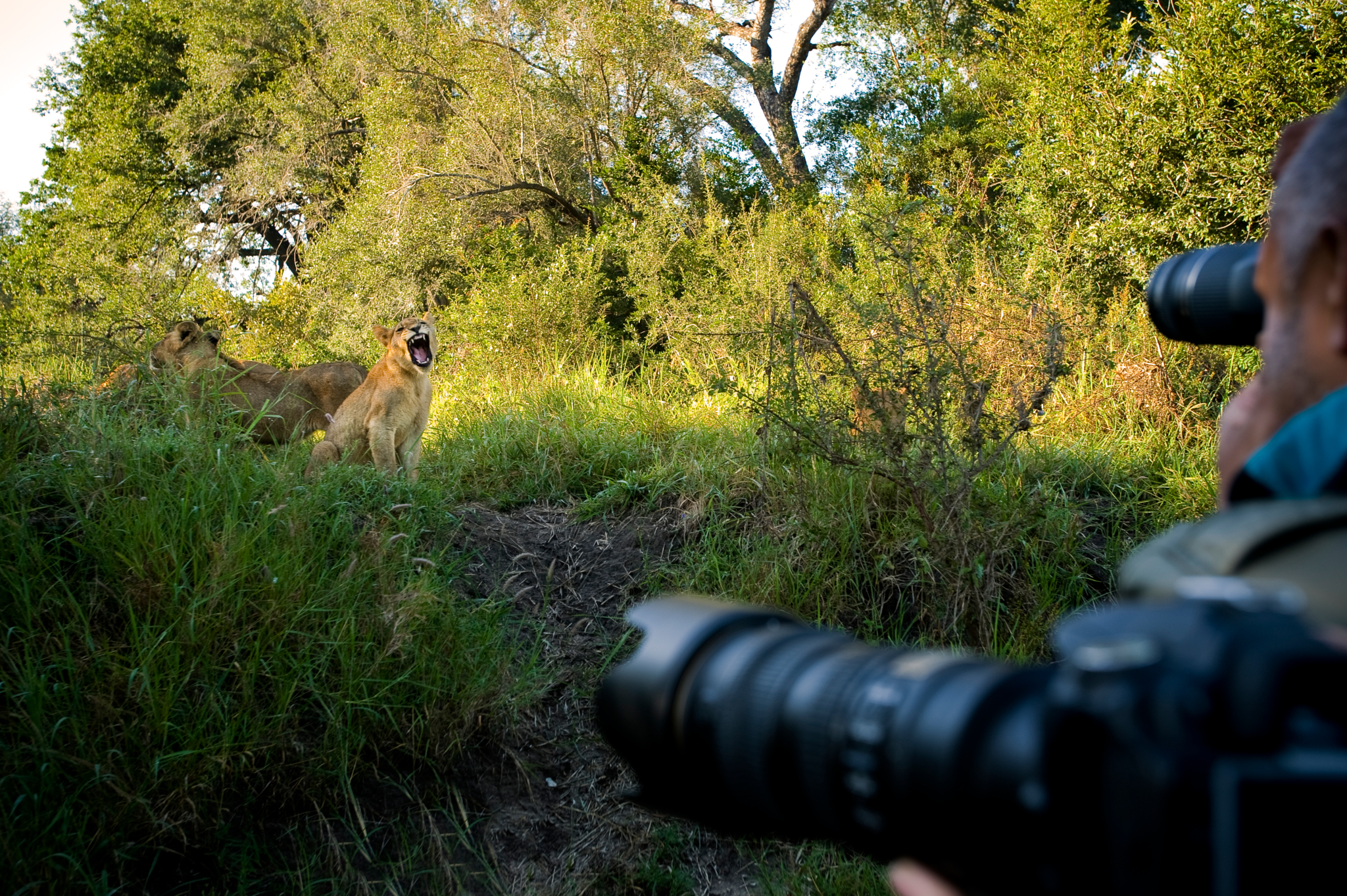 Sports and Entertainment