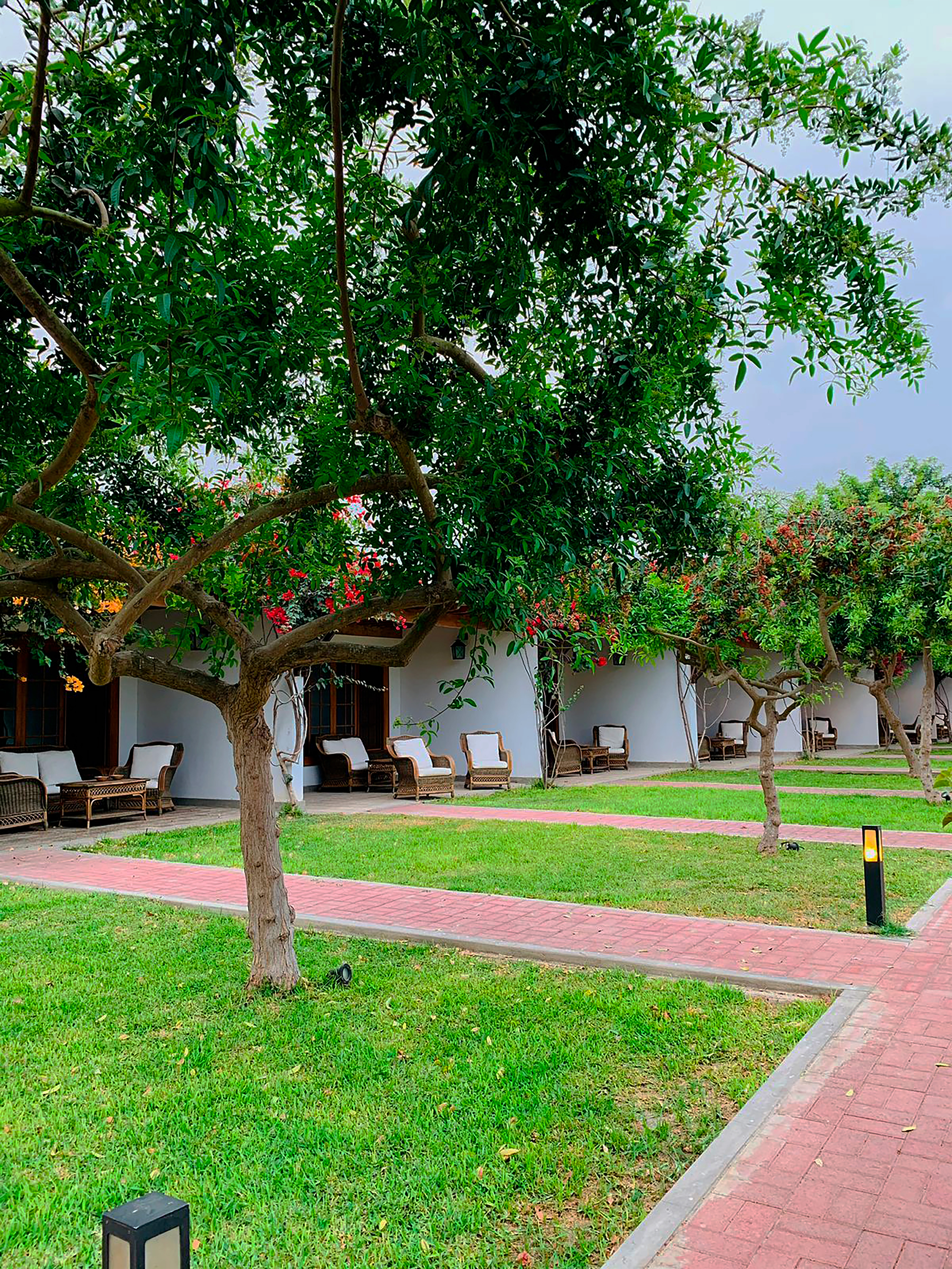 Junior Suite Standard