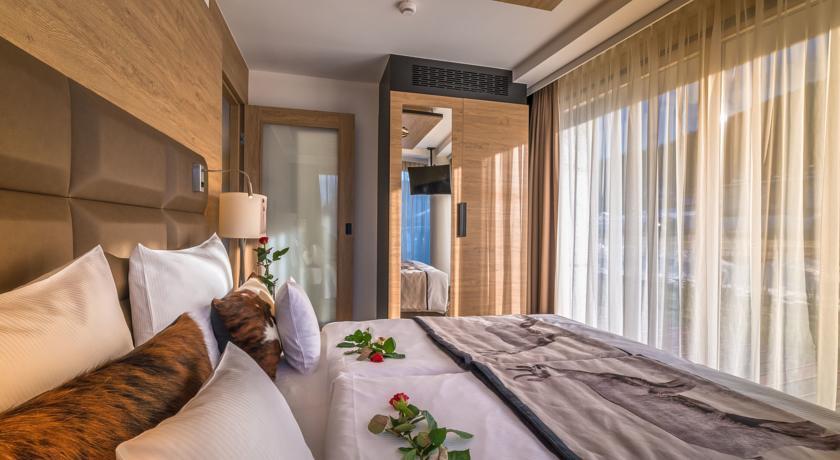 Double or Twin Executive