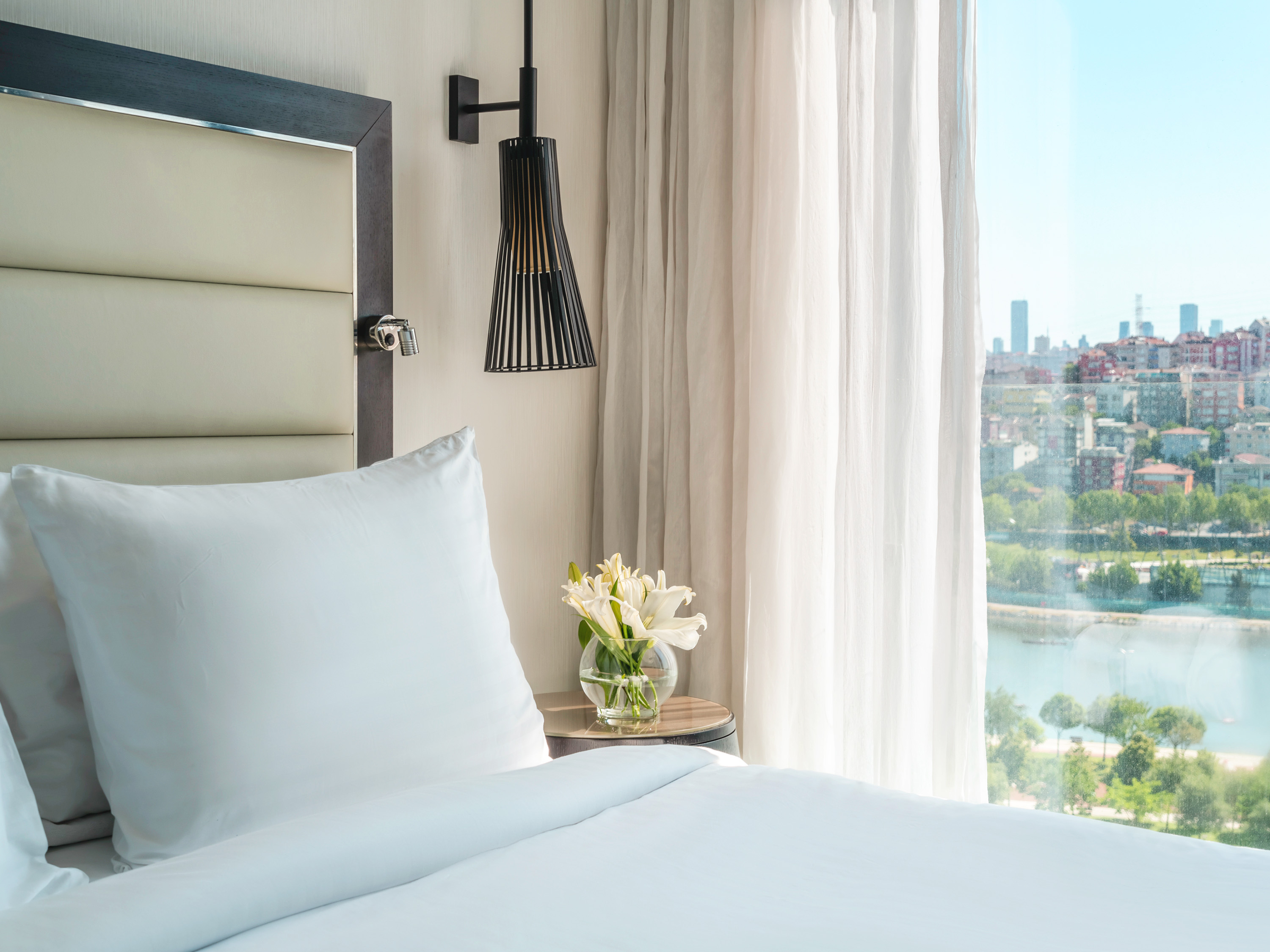 Double Superior City View