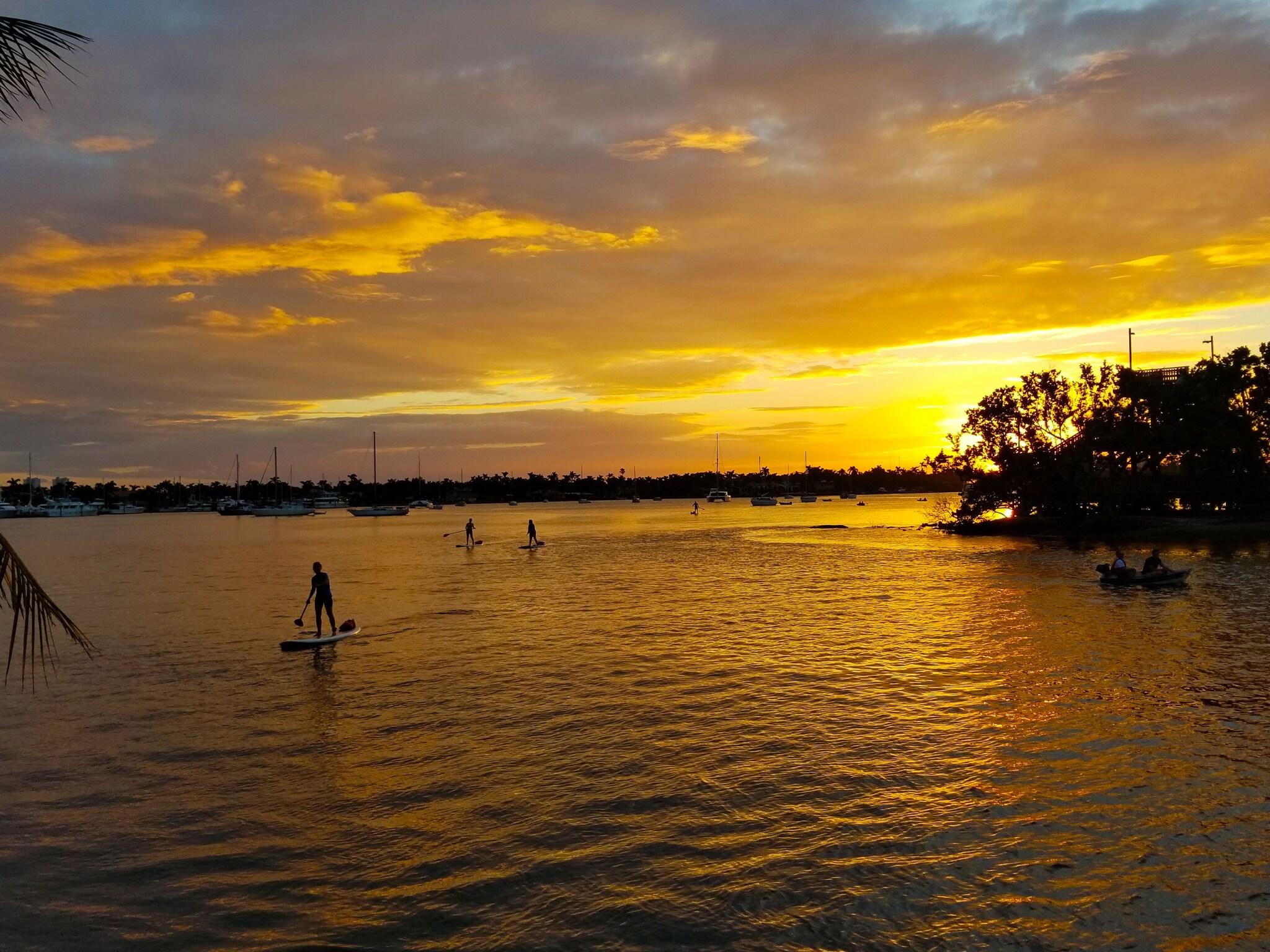 Sports and Entertainment