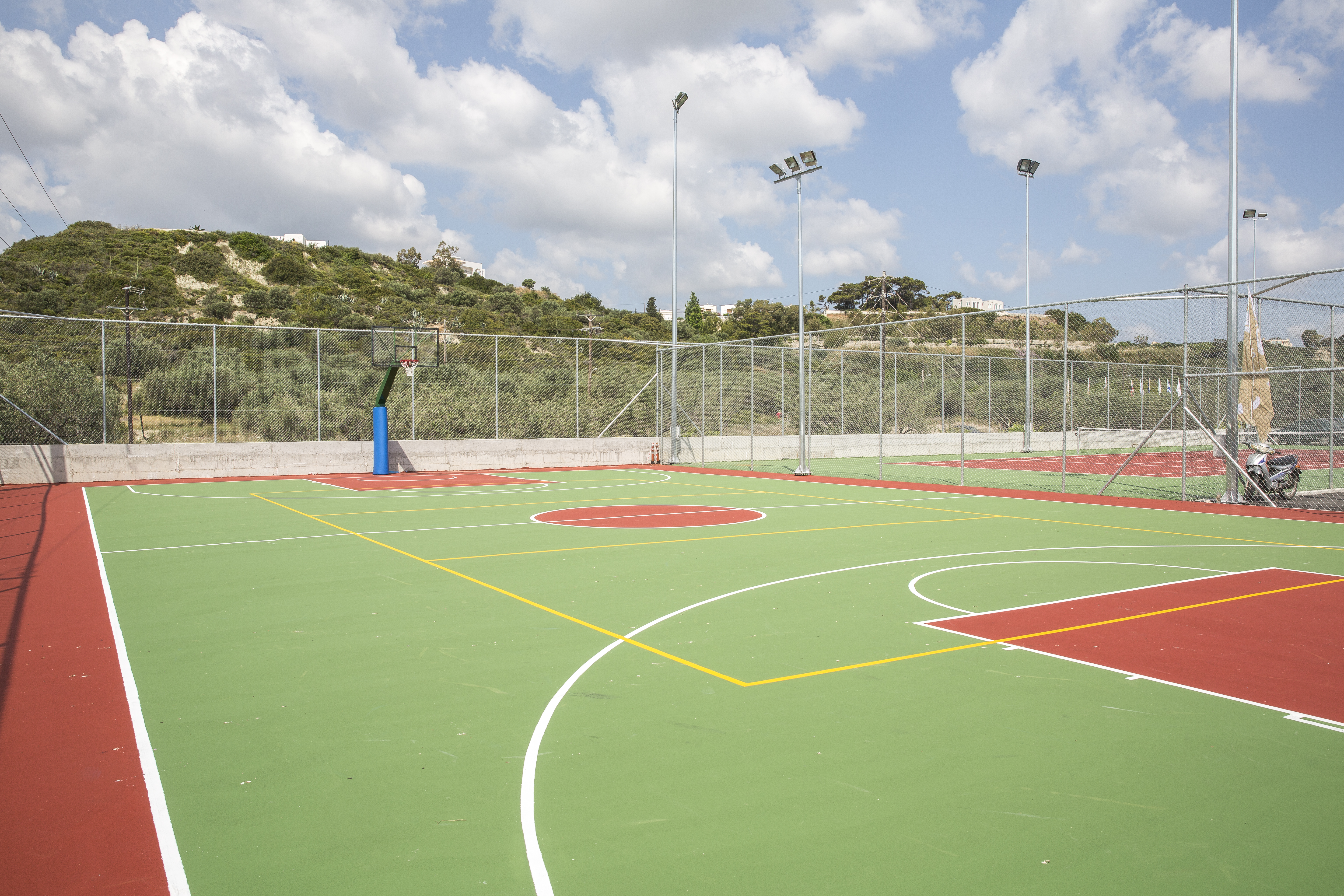 Sports and Entertainment