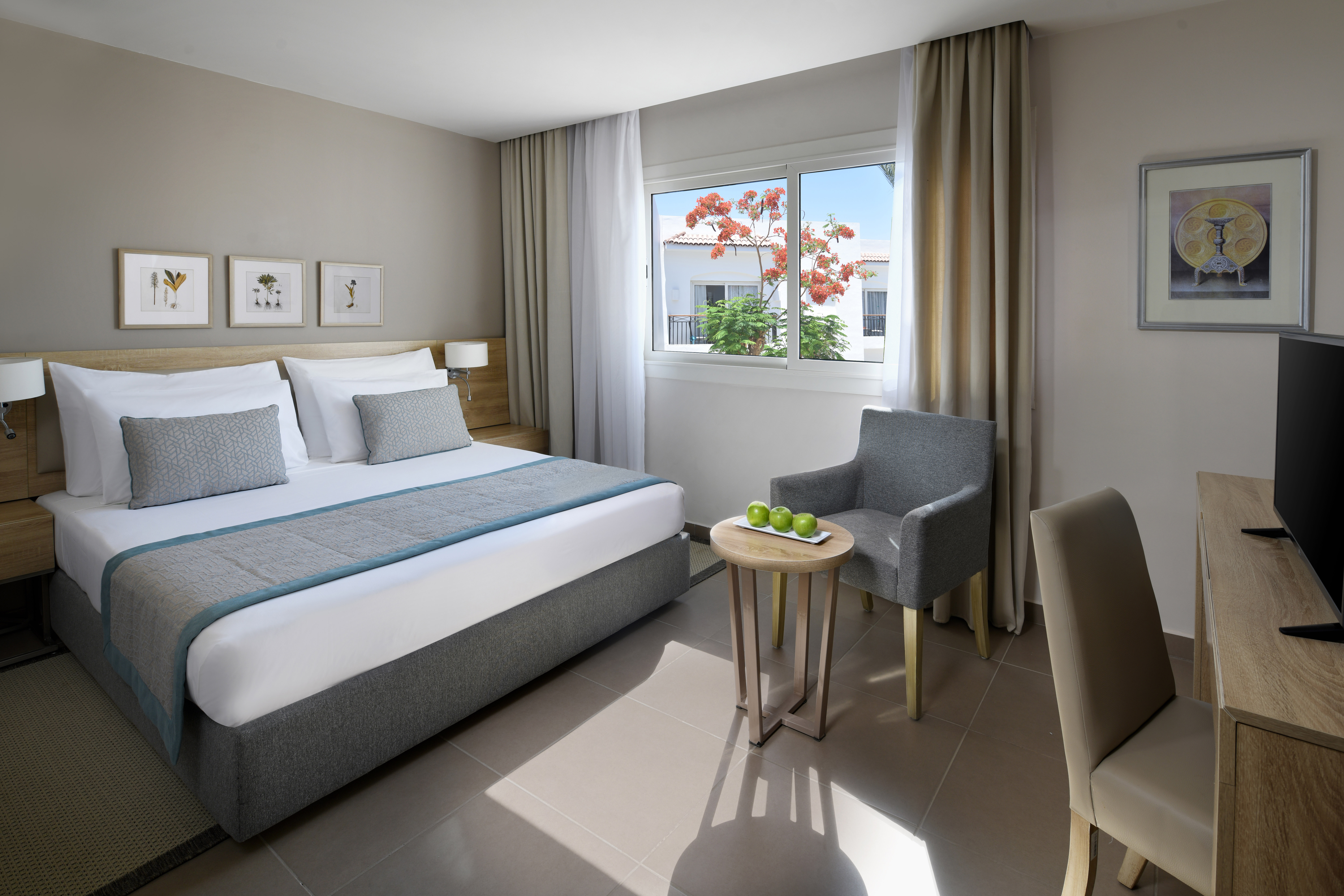 Family Room Queen Size Bed