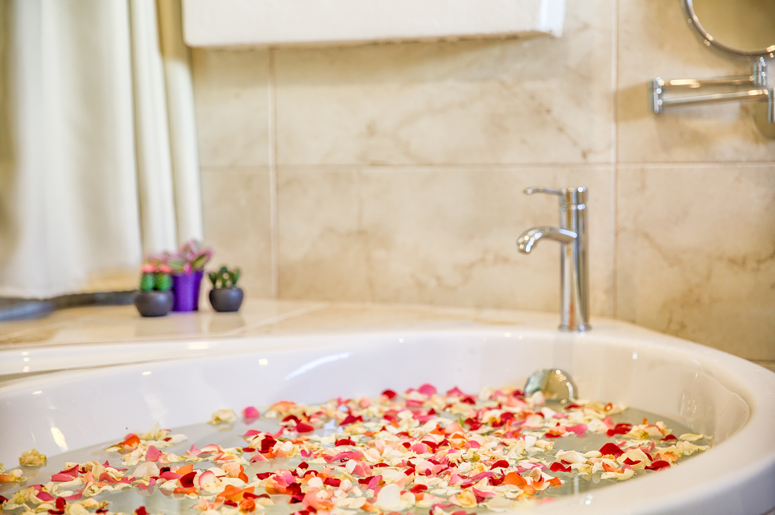 Suite Ocean View One Bedroom