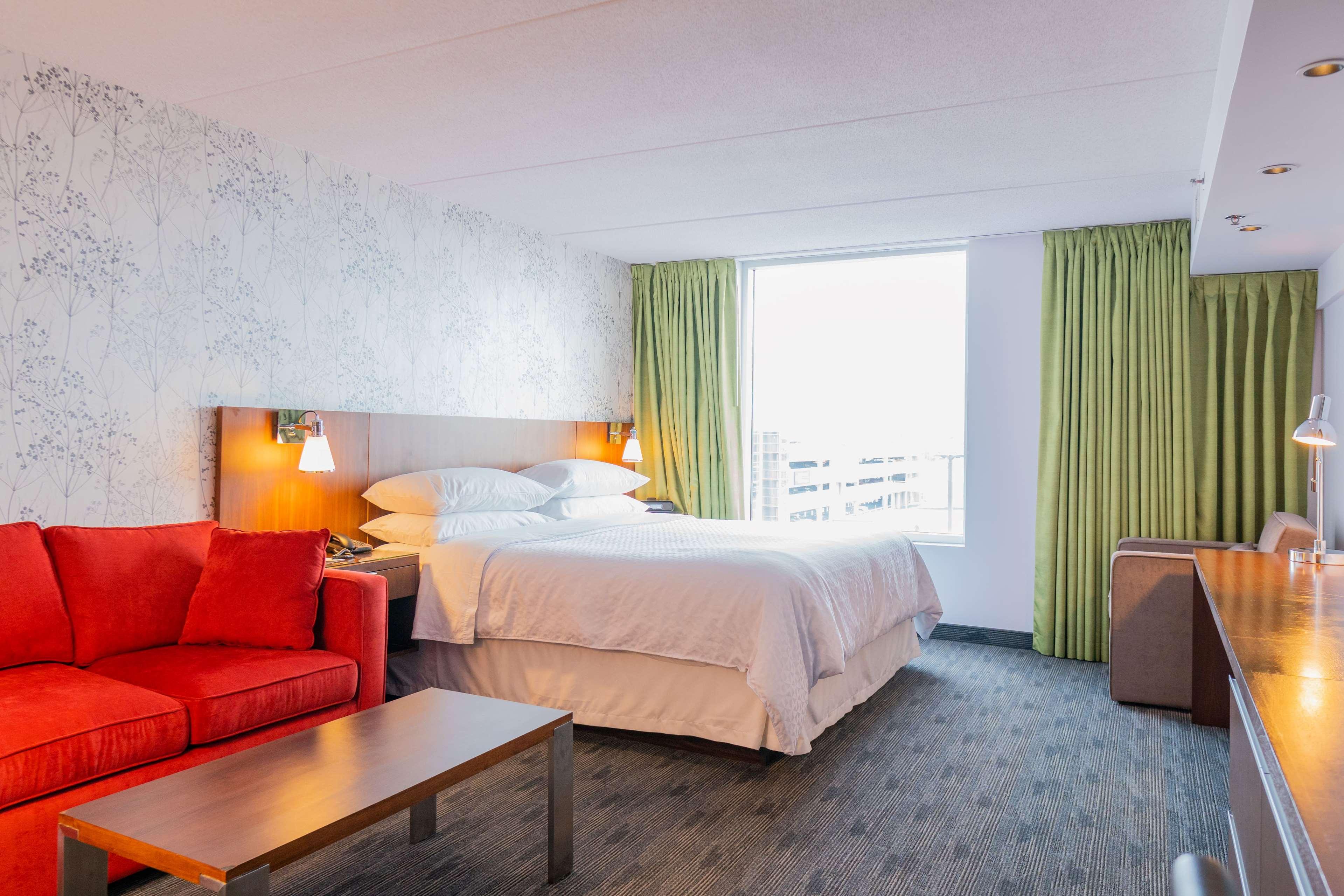 Room Deluxe King Bed