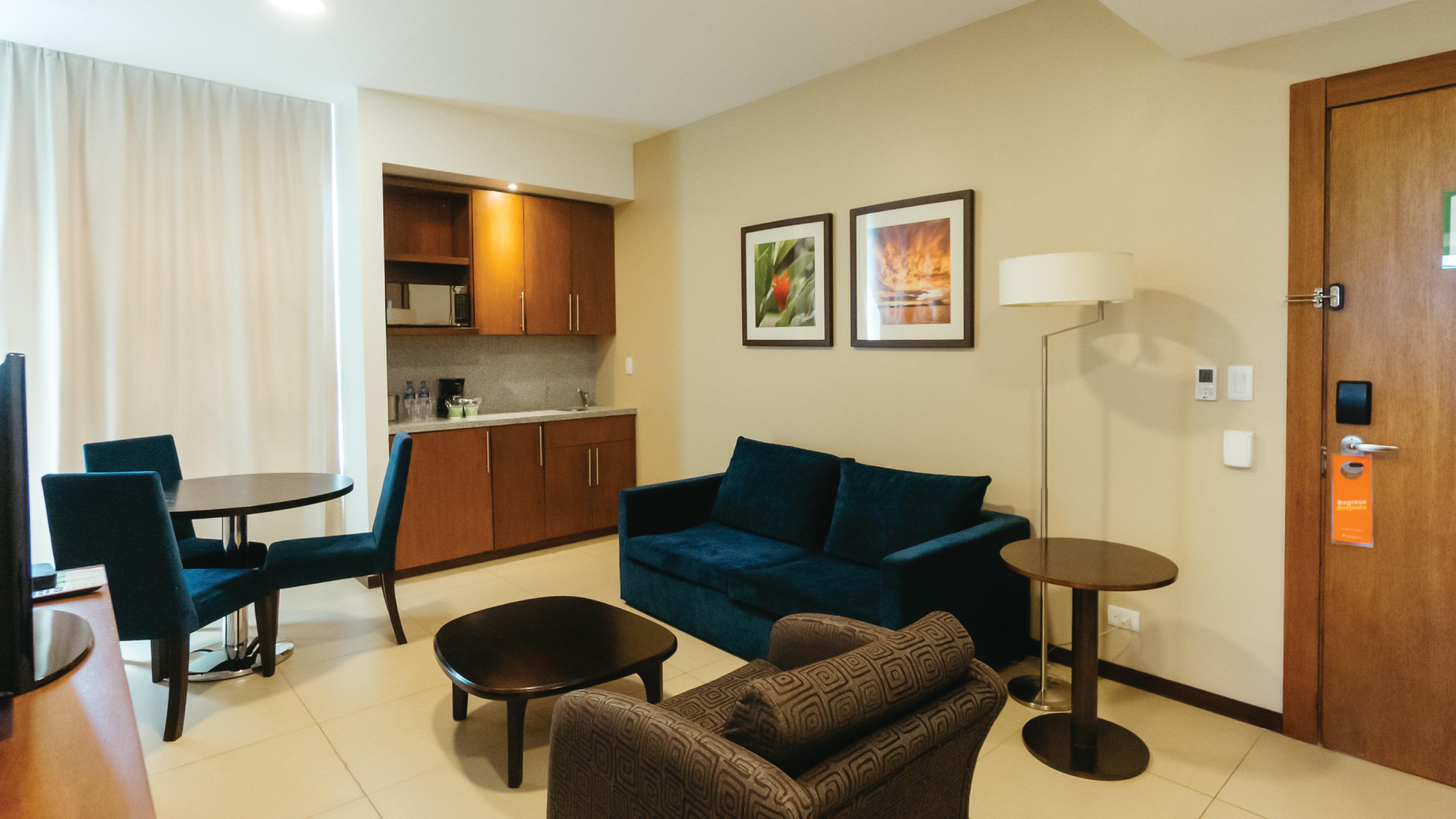 Suite King Bed One Bedroom 