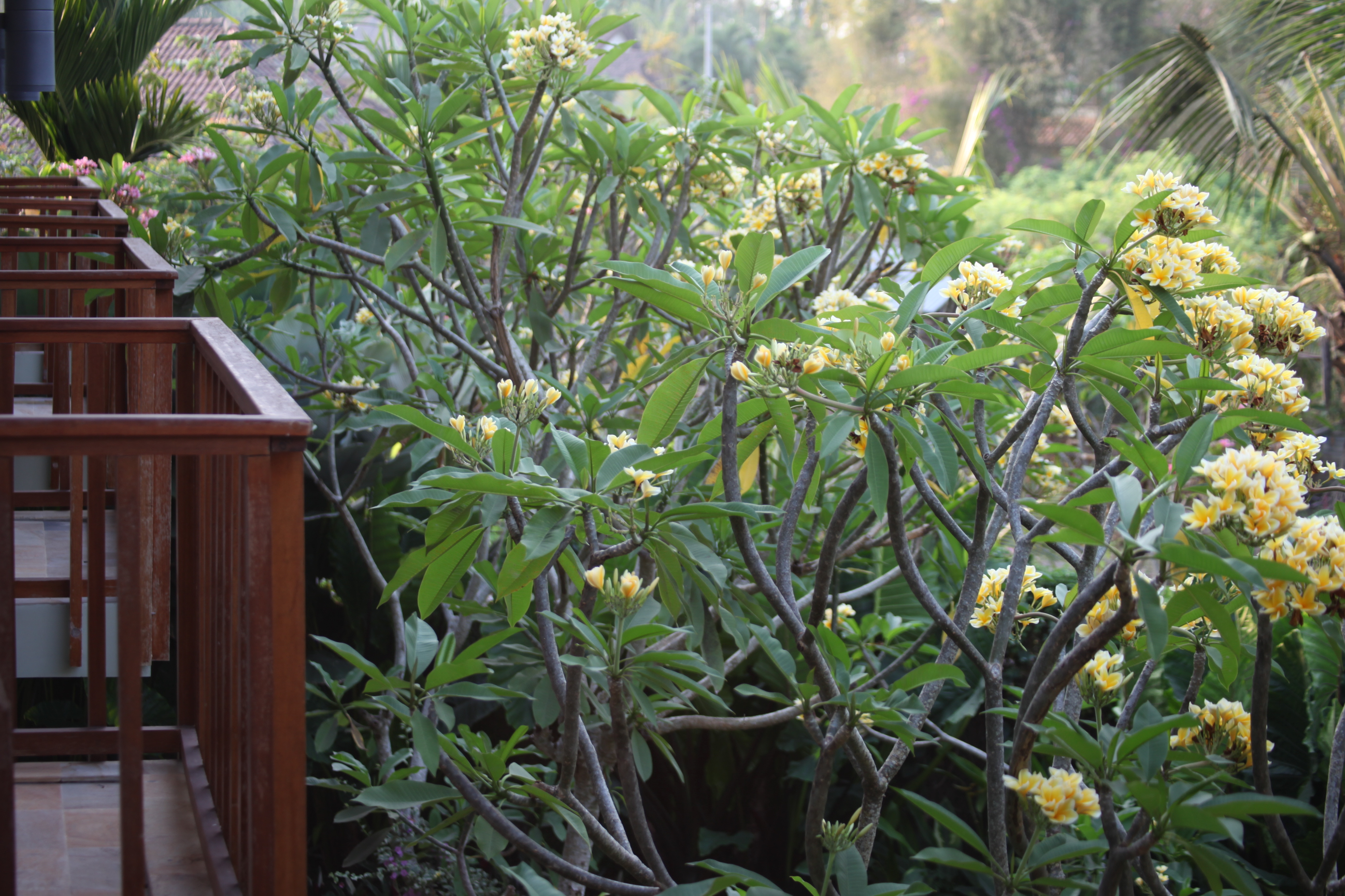 Double or Twin Garden View