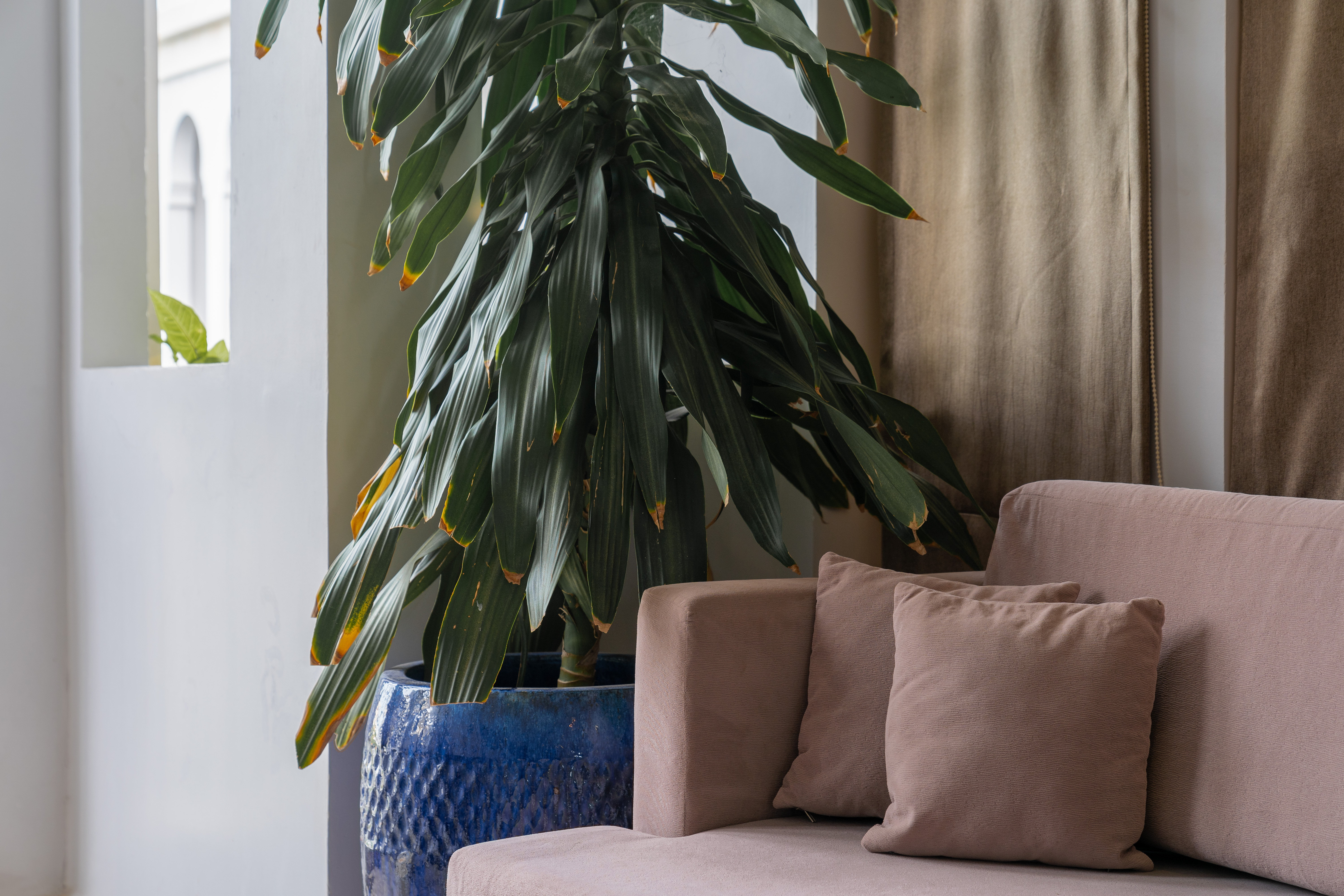 Family Room One Bedroom One Bathroom