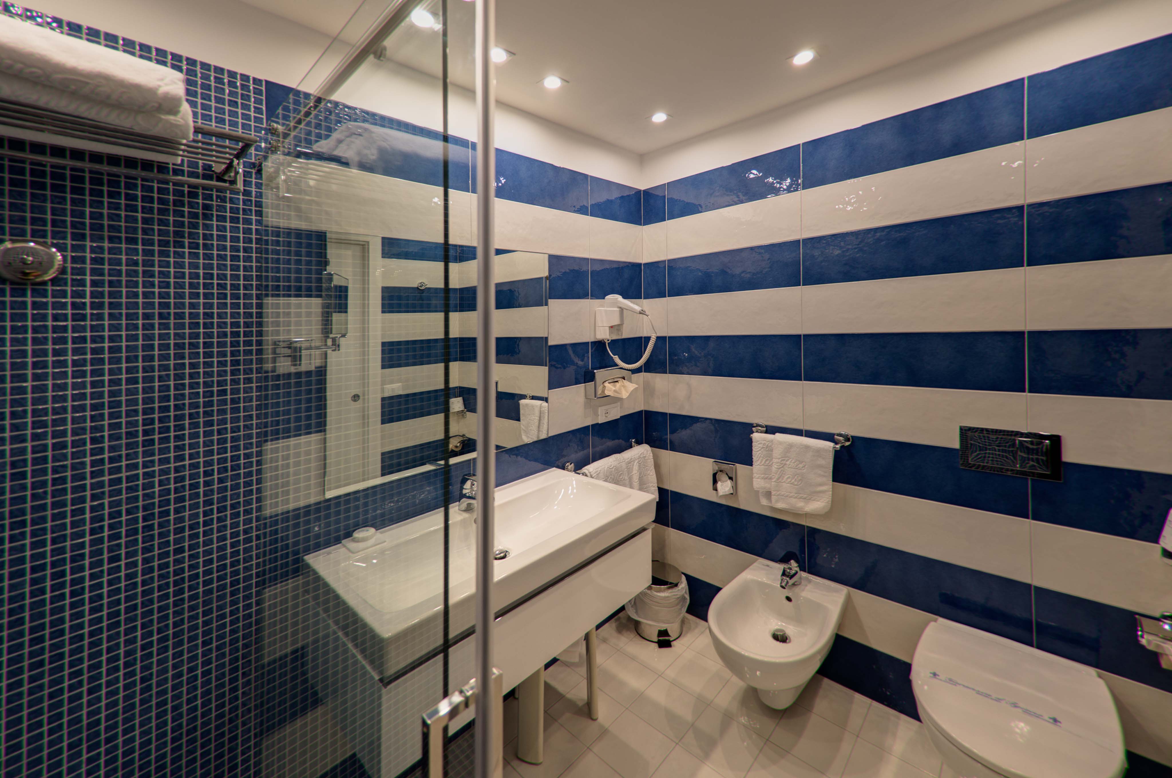 Double or Twin Superior