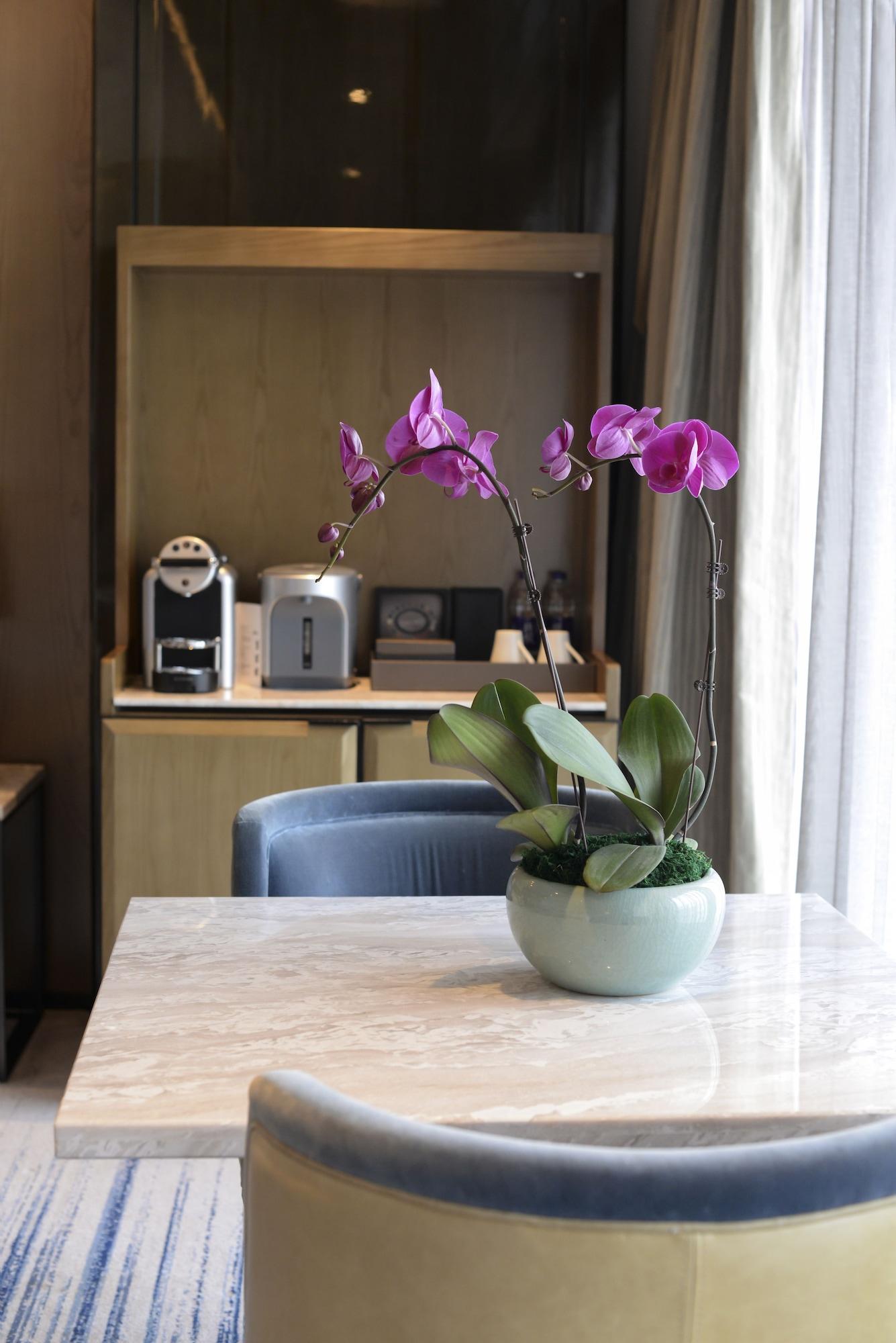 Junior Suite King Bed One Bedroom 