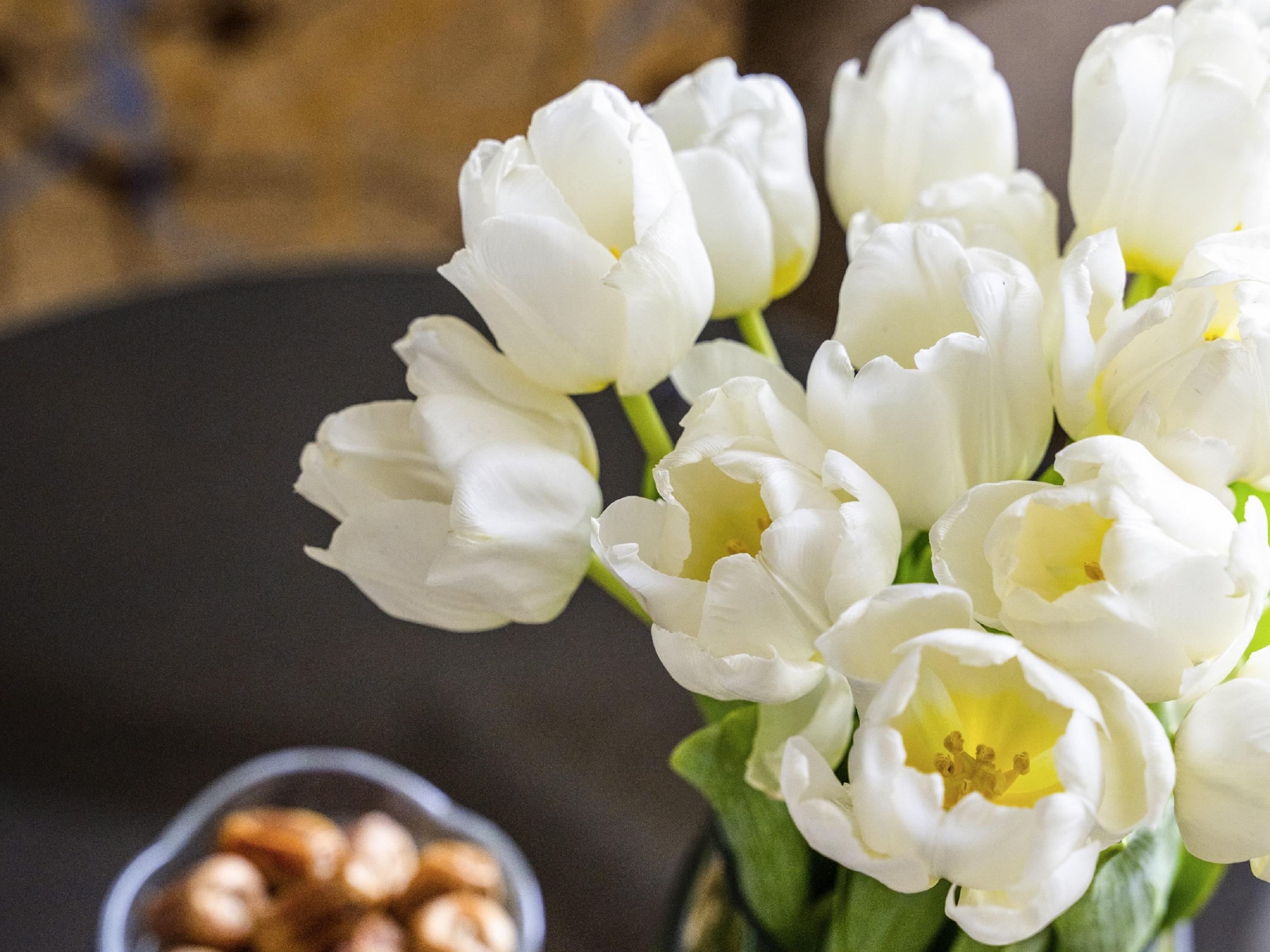 Suite Superior City View