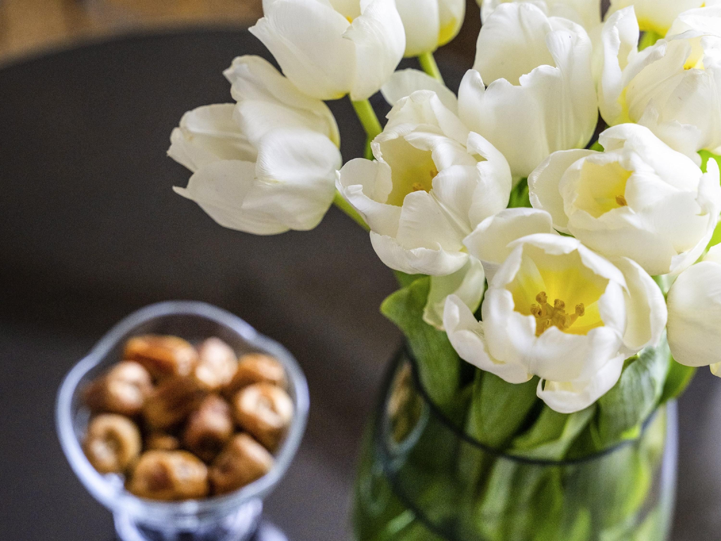 Suite City View Two Beds