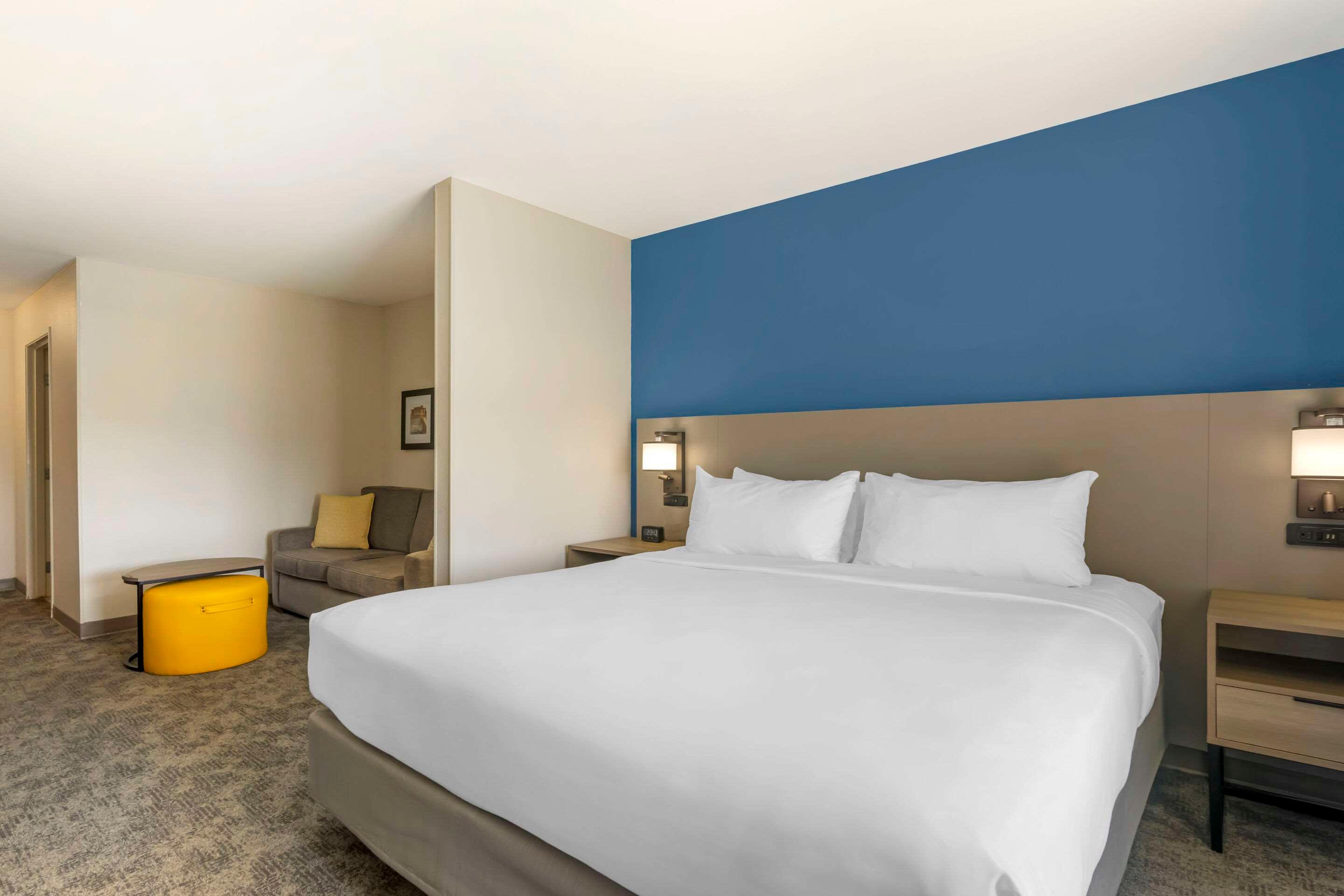 Suite King Bed Non Smoking