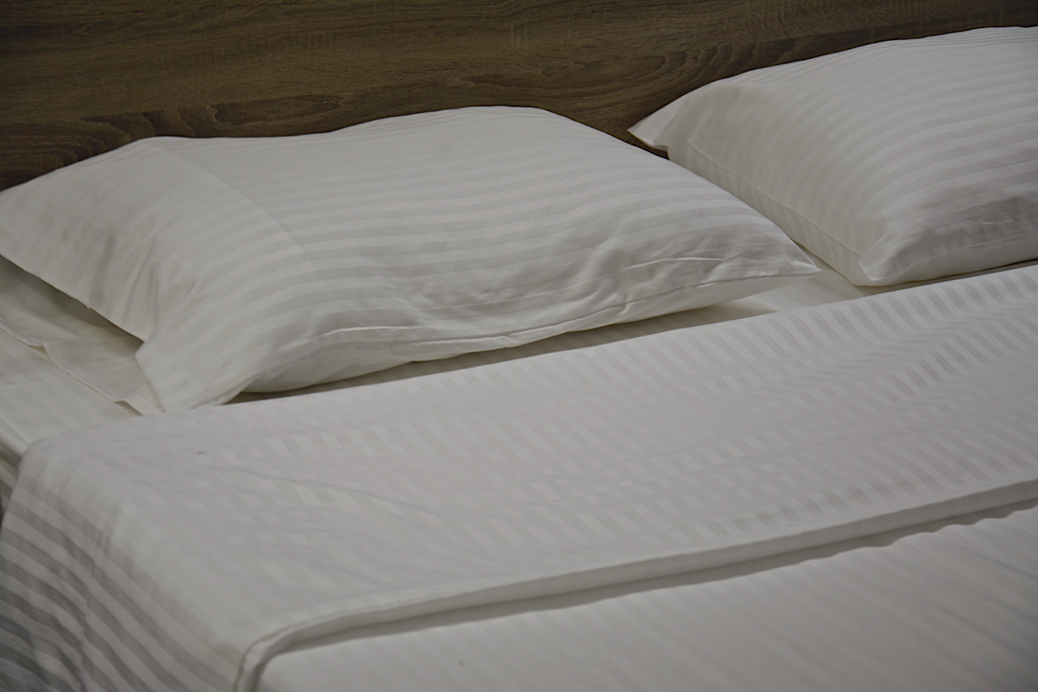 Family Room Superior