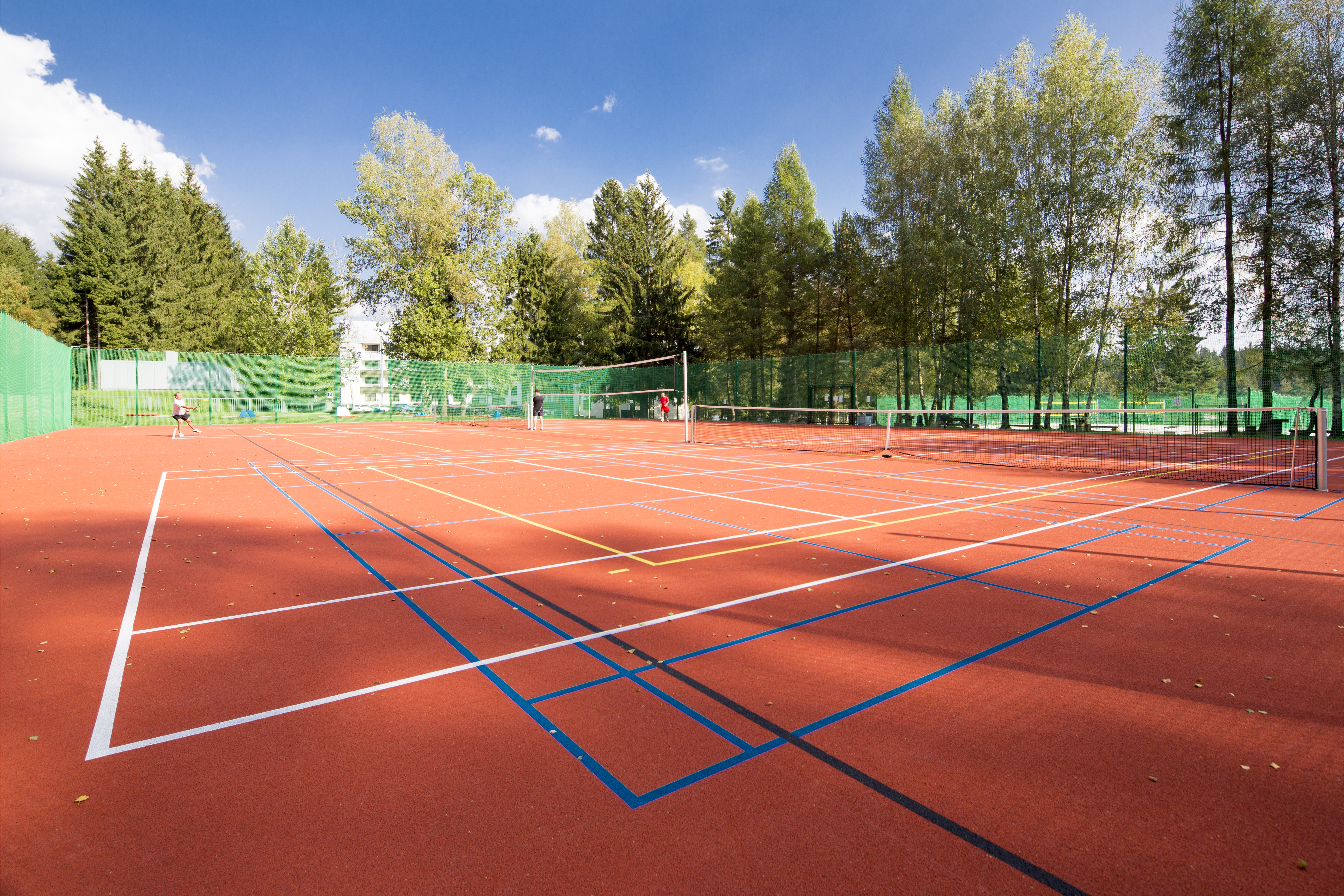 Sports and Entertainment