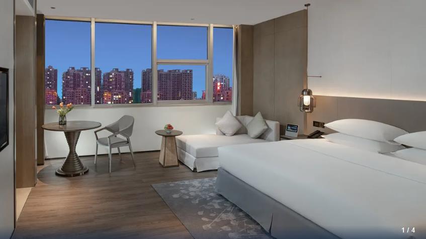 Double Executive City View