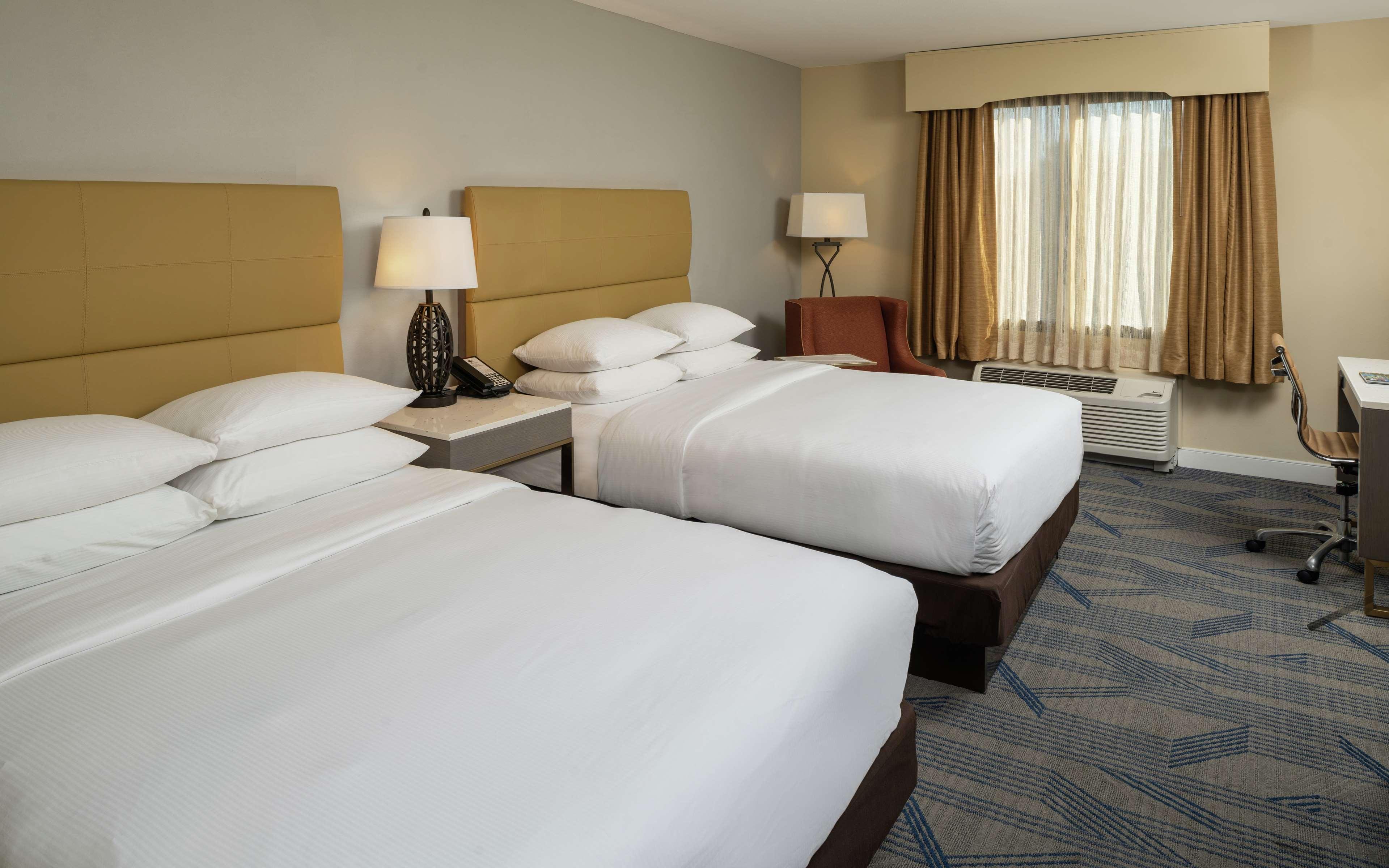 Double Two Queen Beds