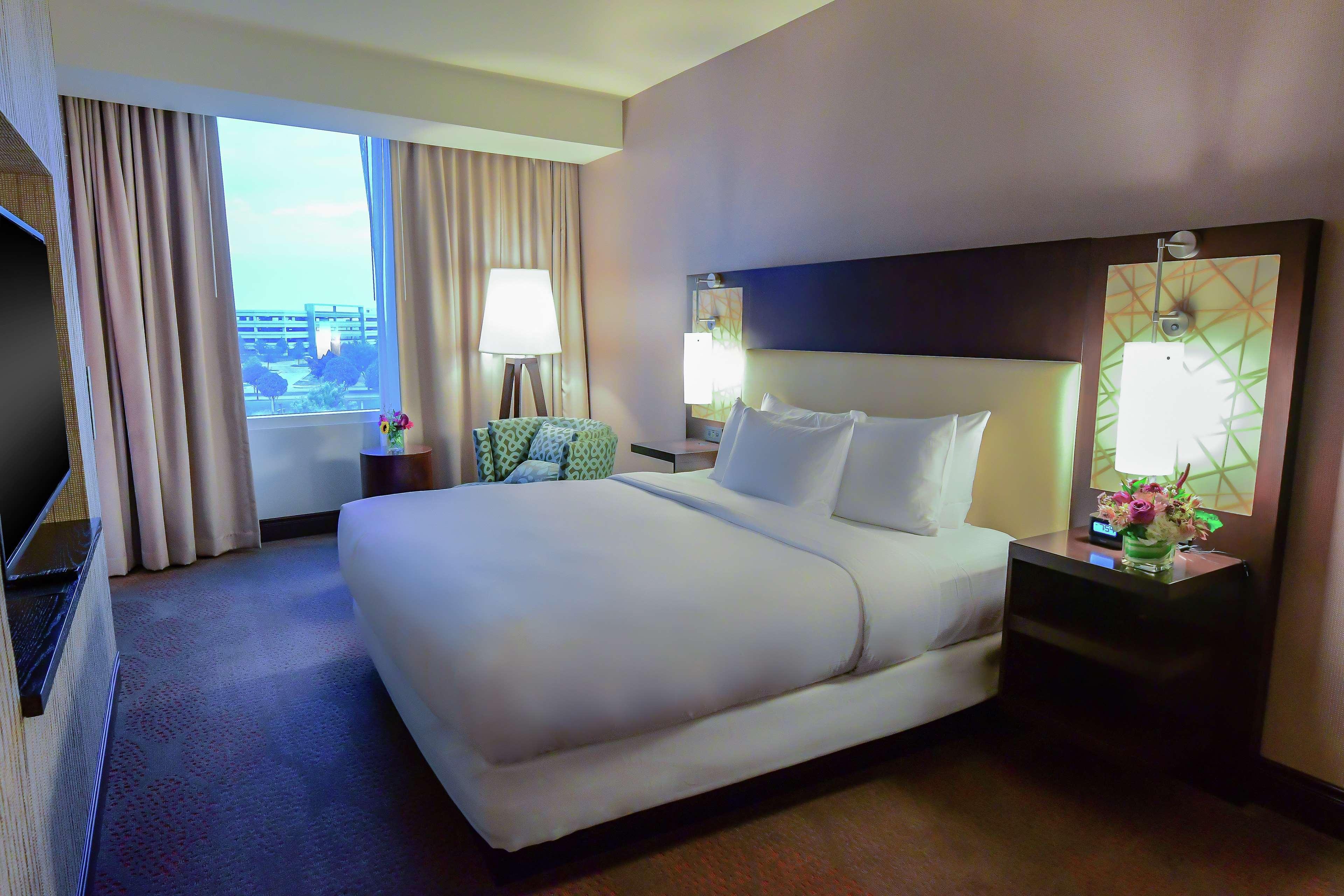 Studio Deluxe King Bed