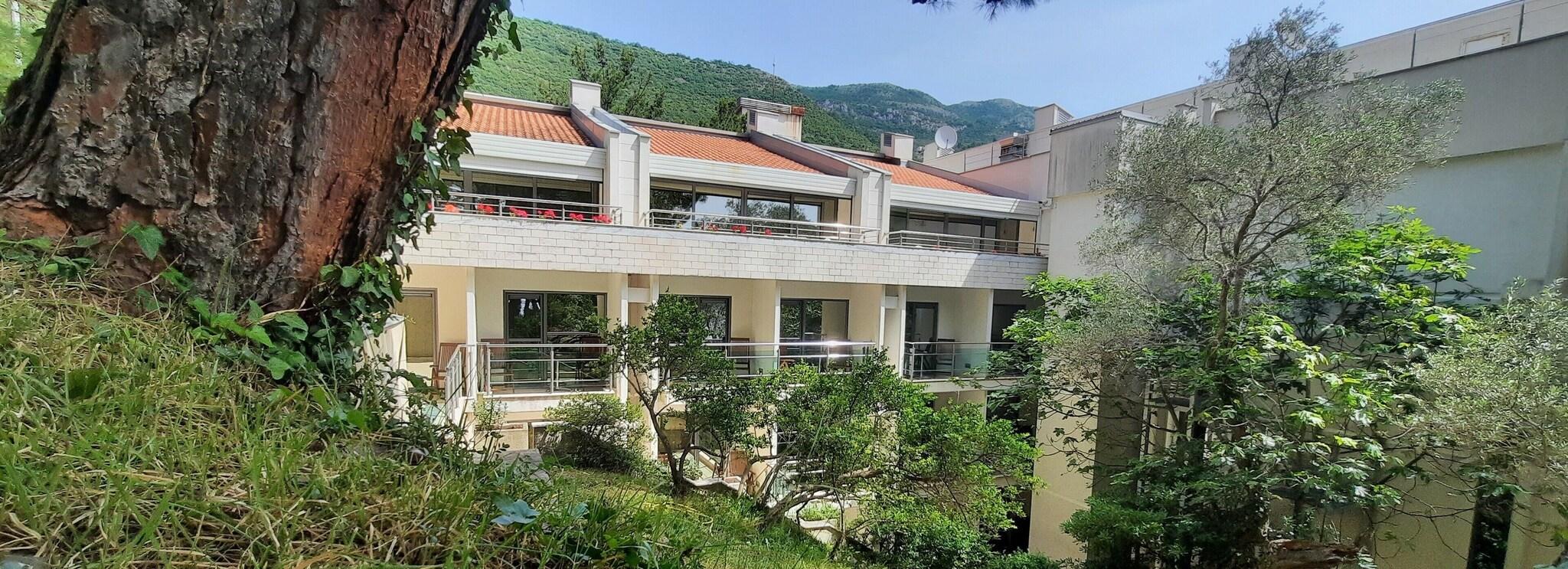 Double Mountain View