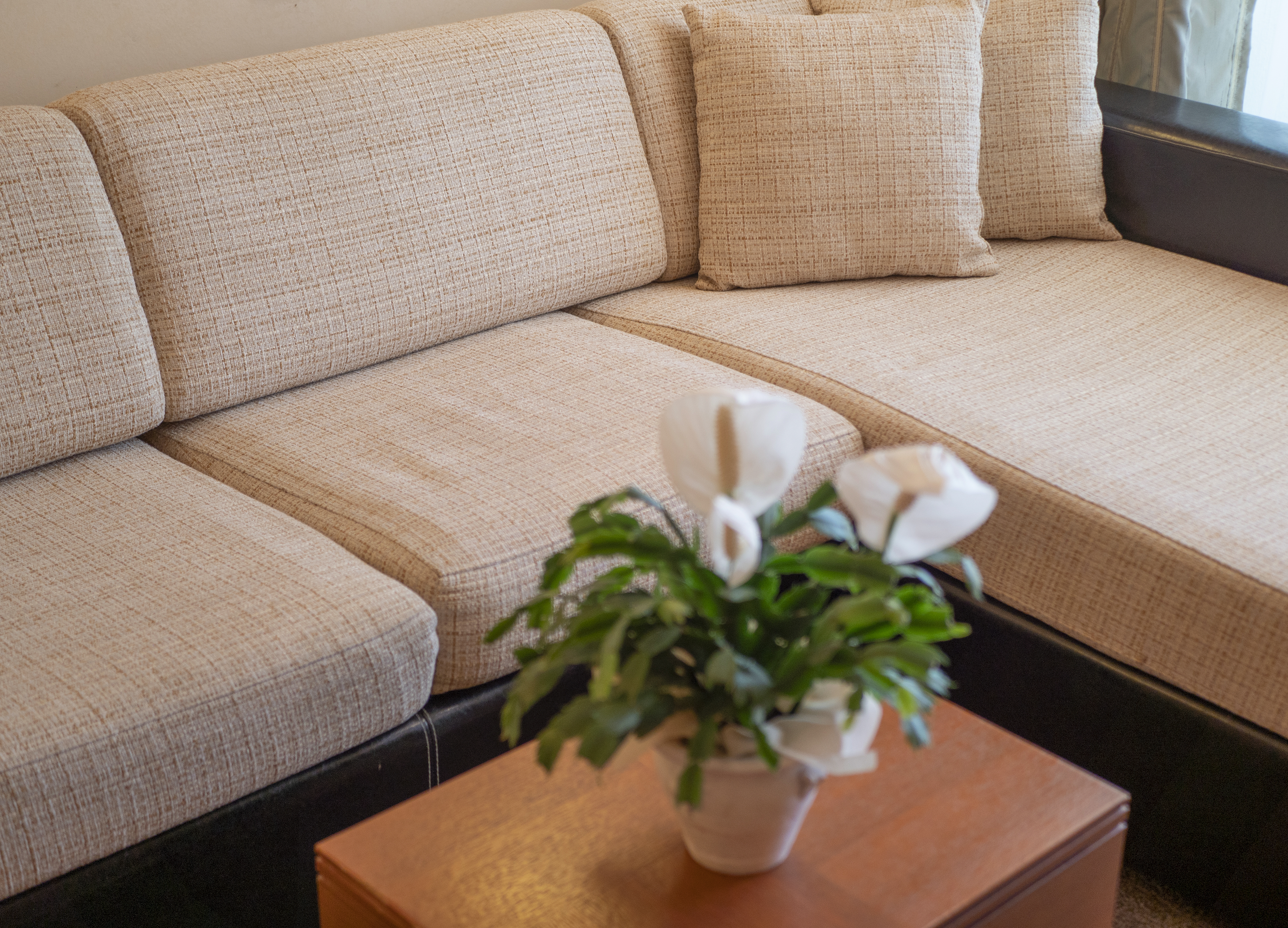 Family Room Sea View