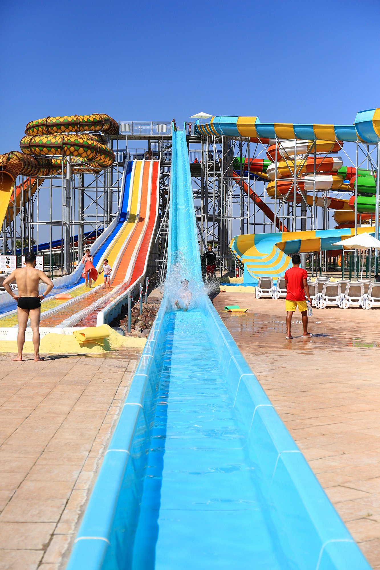 Sports and Entertainment