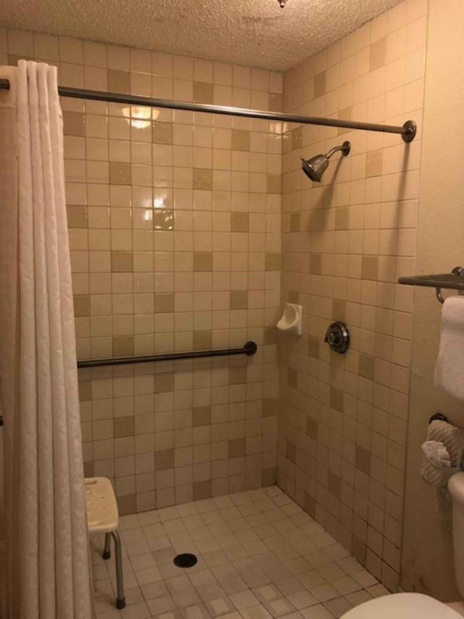 Room Accesible Deluxe 