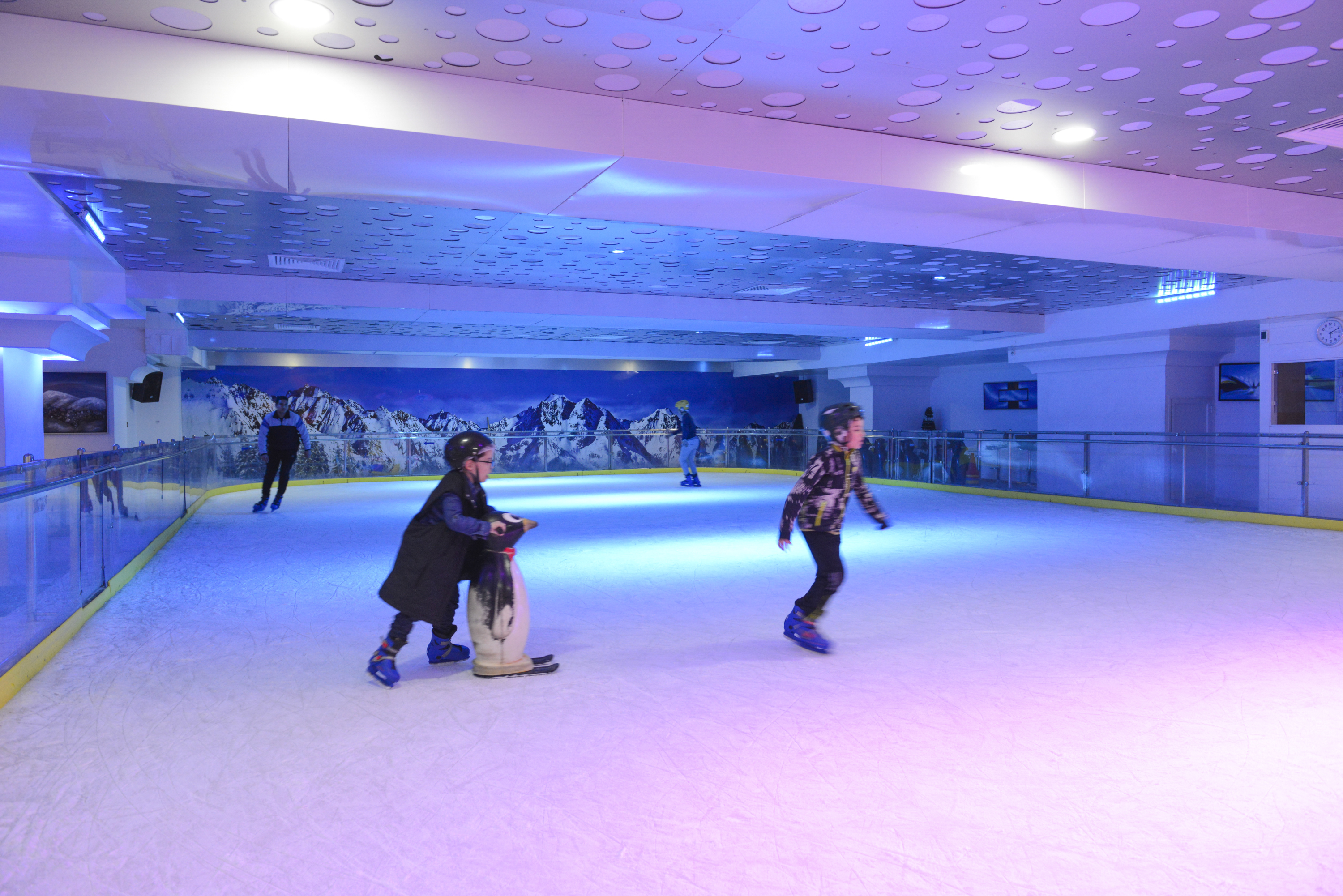 Sports and Entertainment