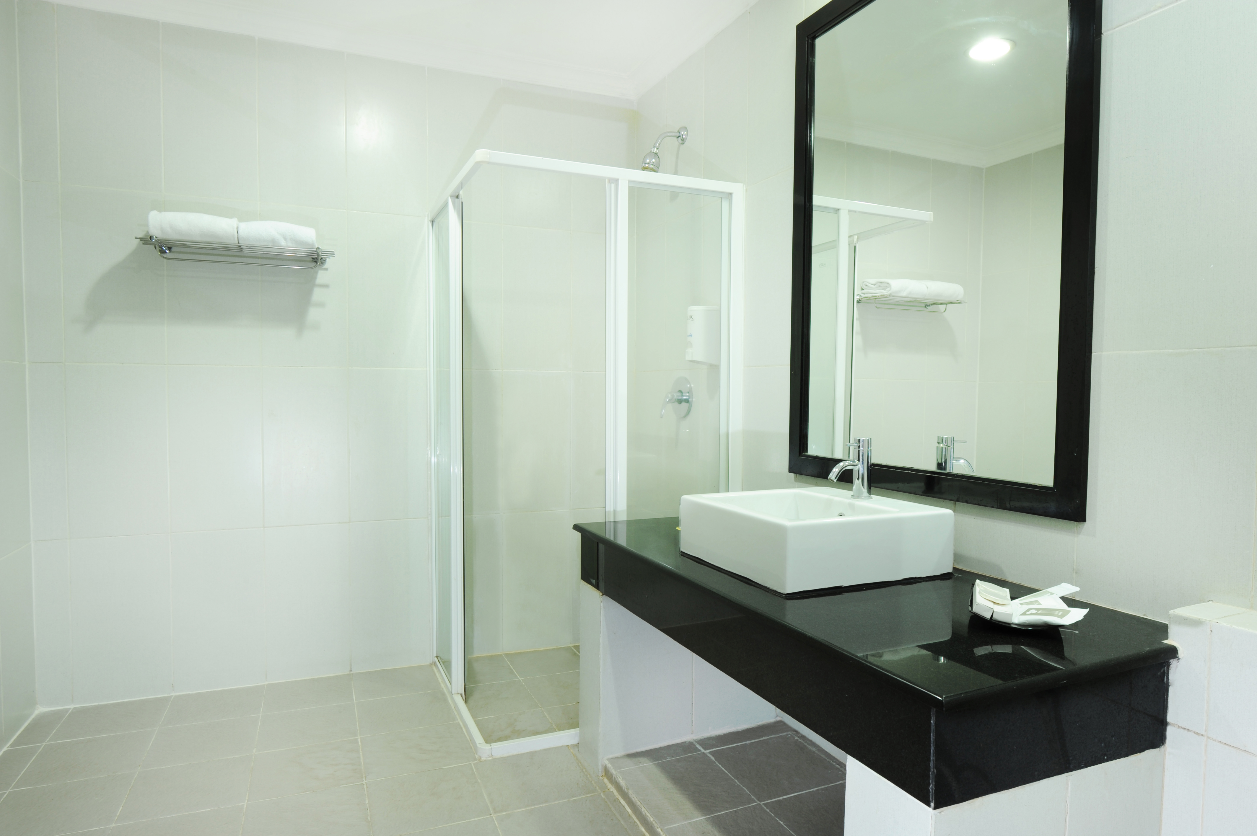 Double or Twin Superior