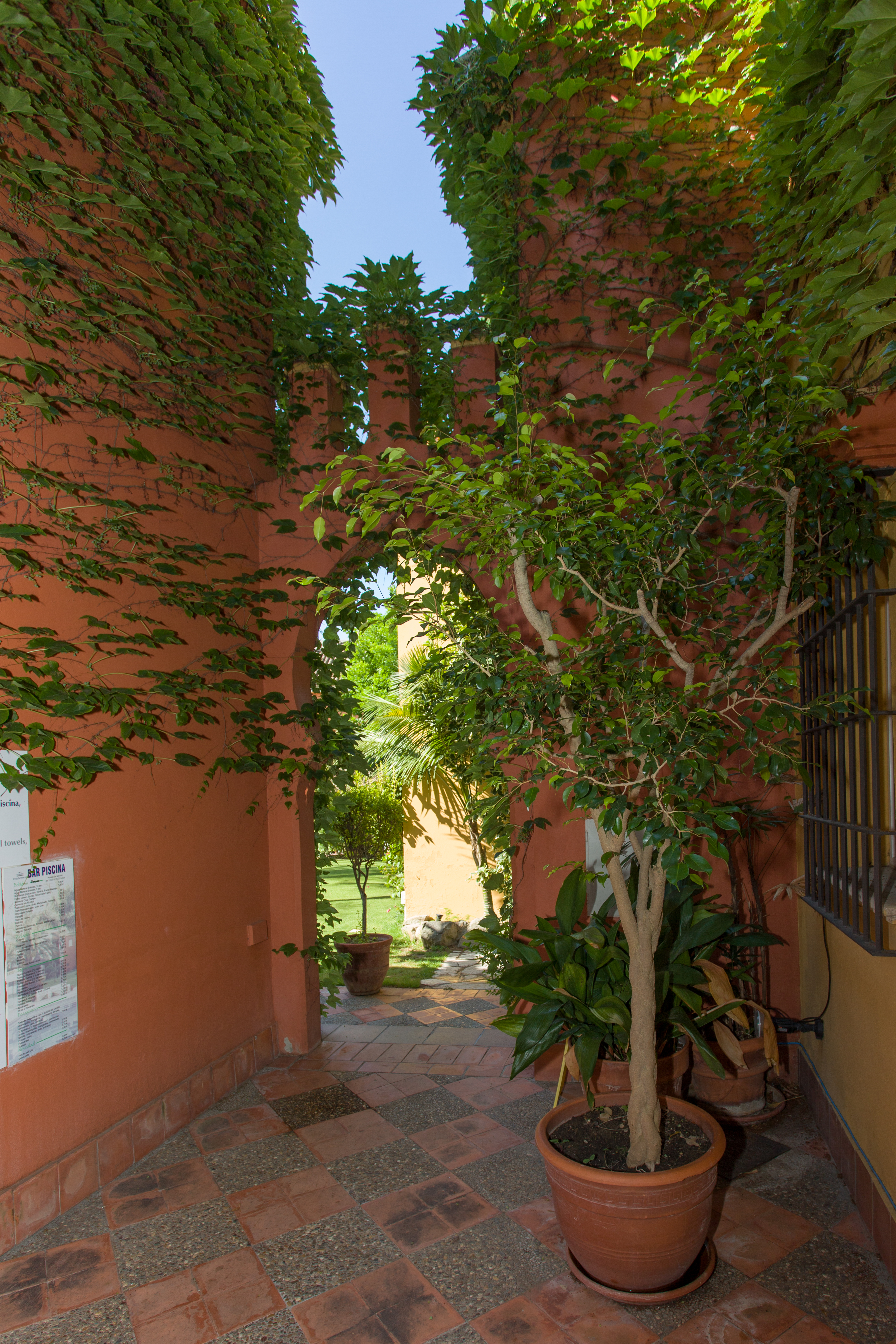 Apartment Two Bedrooms