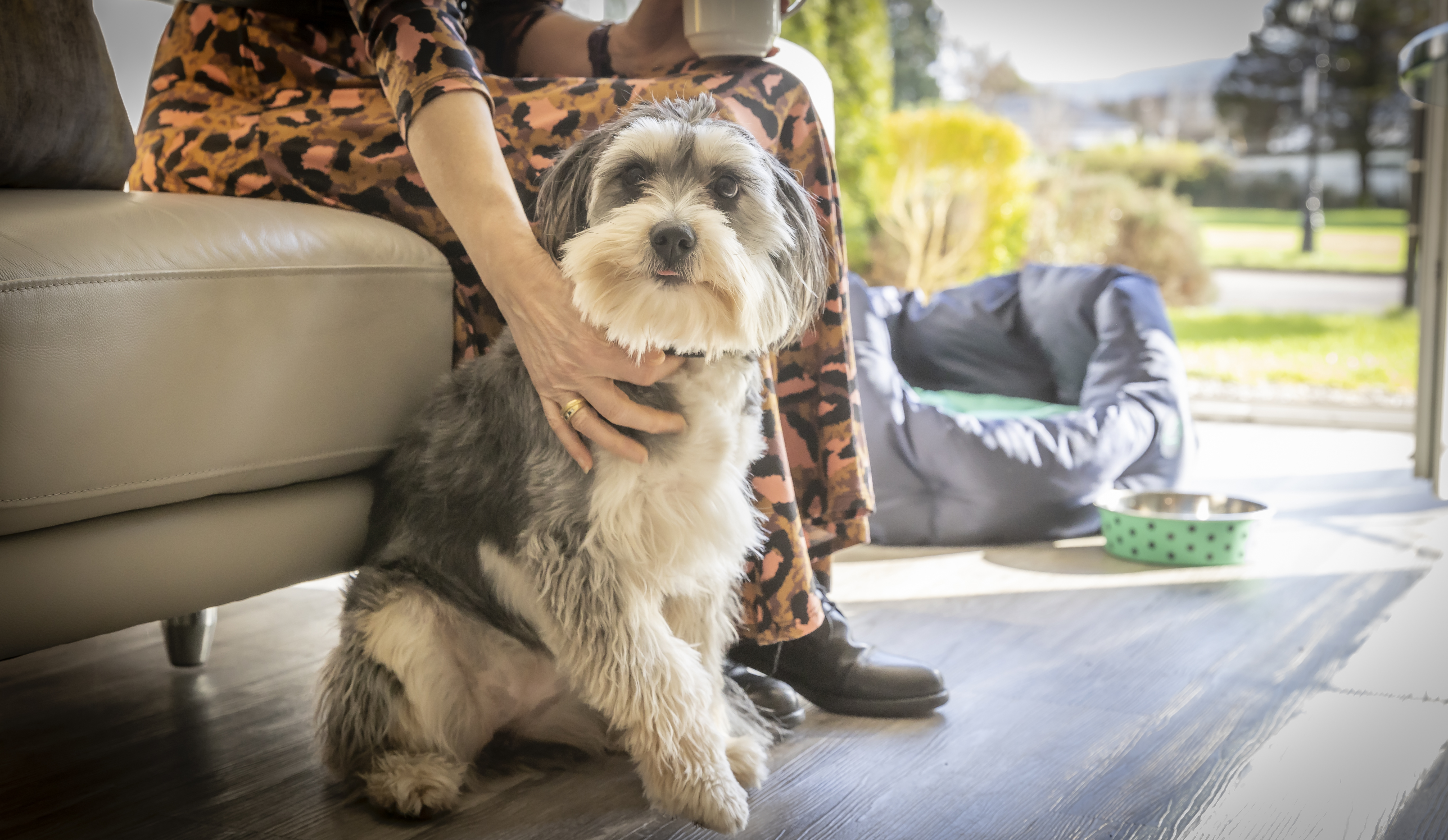 Apartment Two Bedrooms