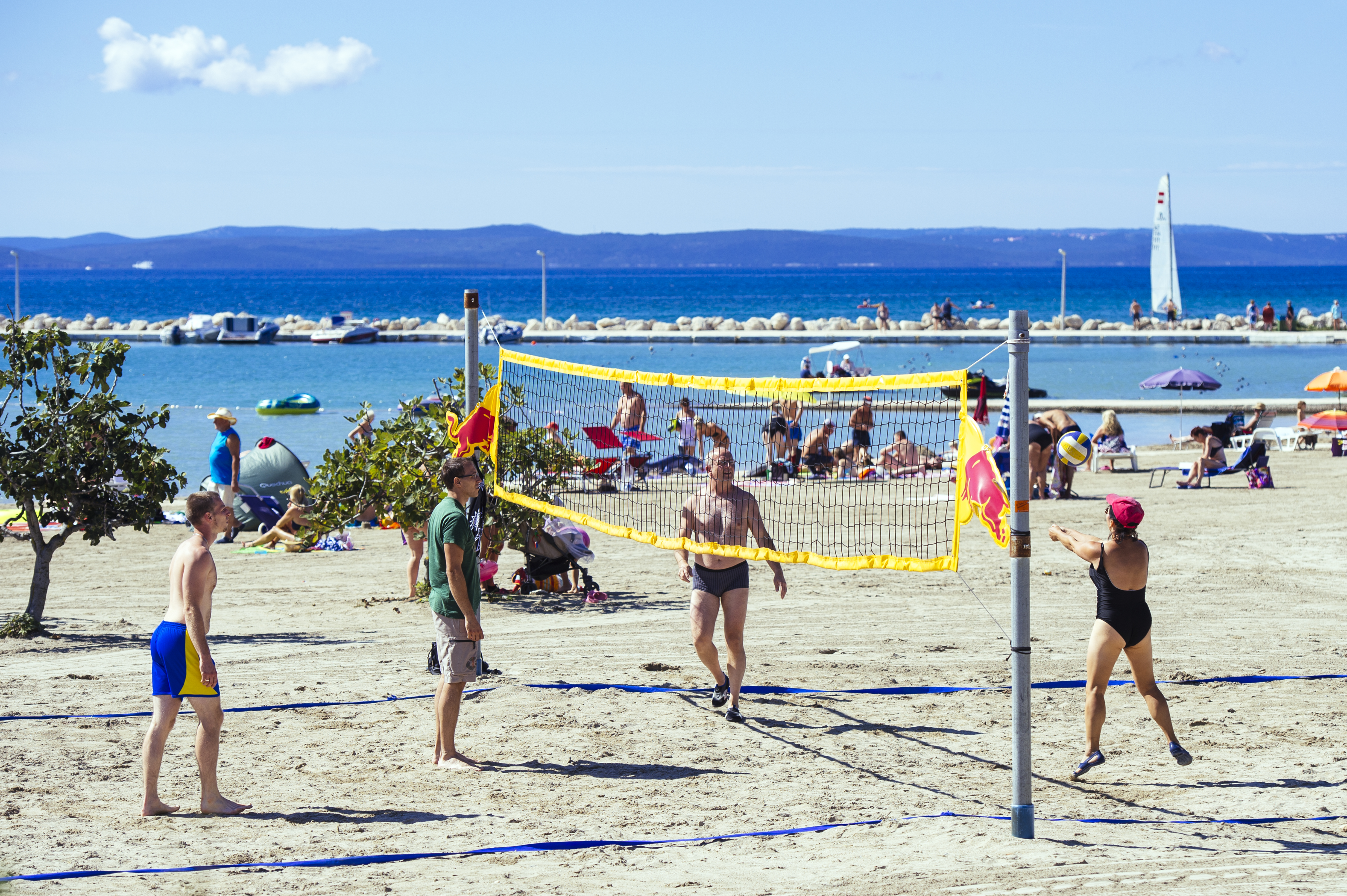 Sports and Entertainment