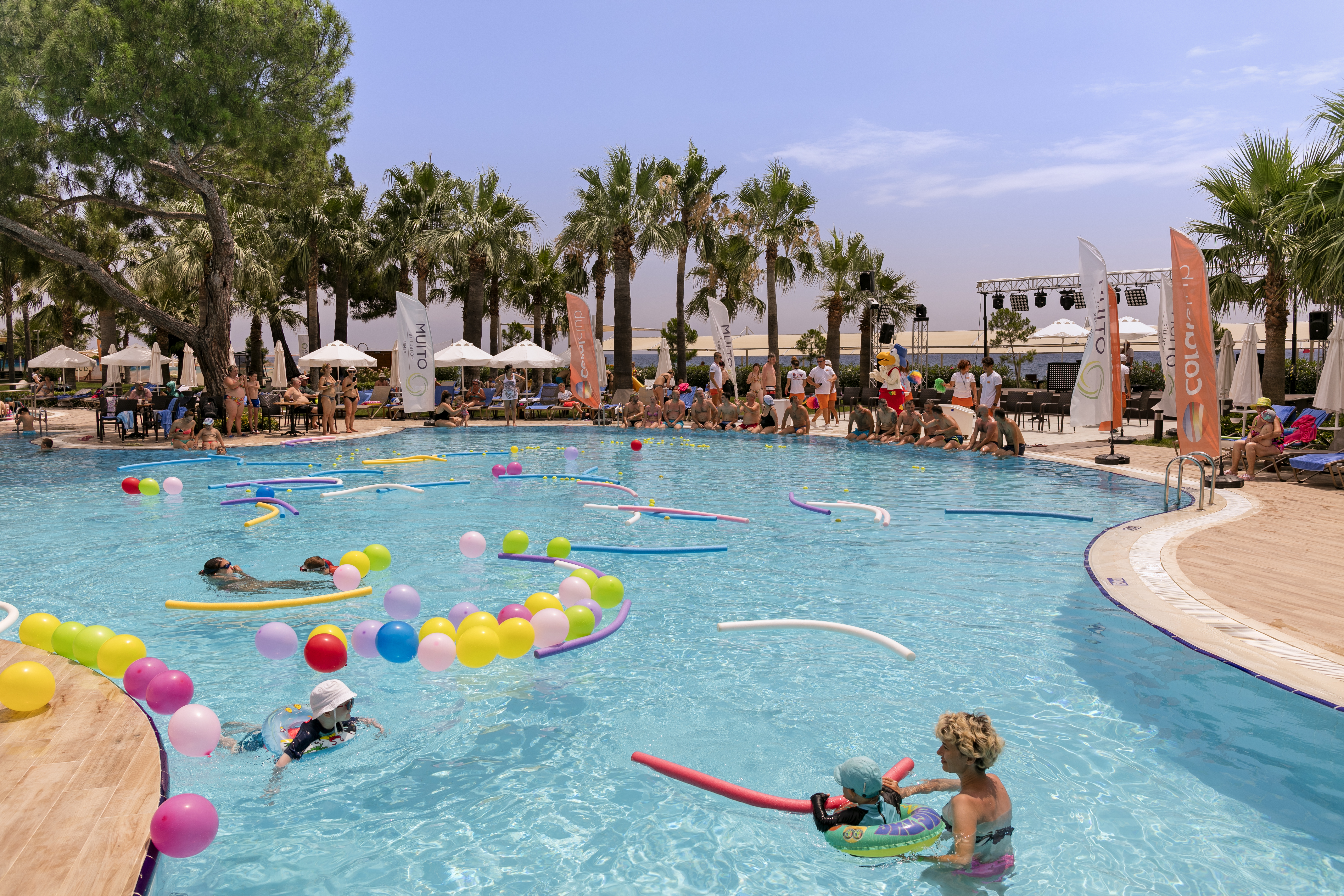 Sports and Entertainment