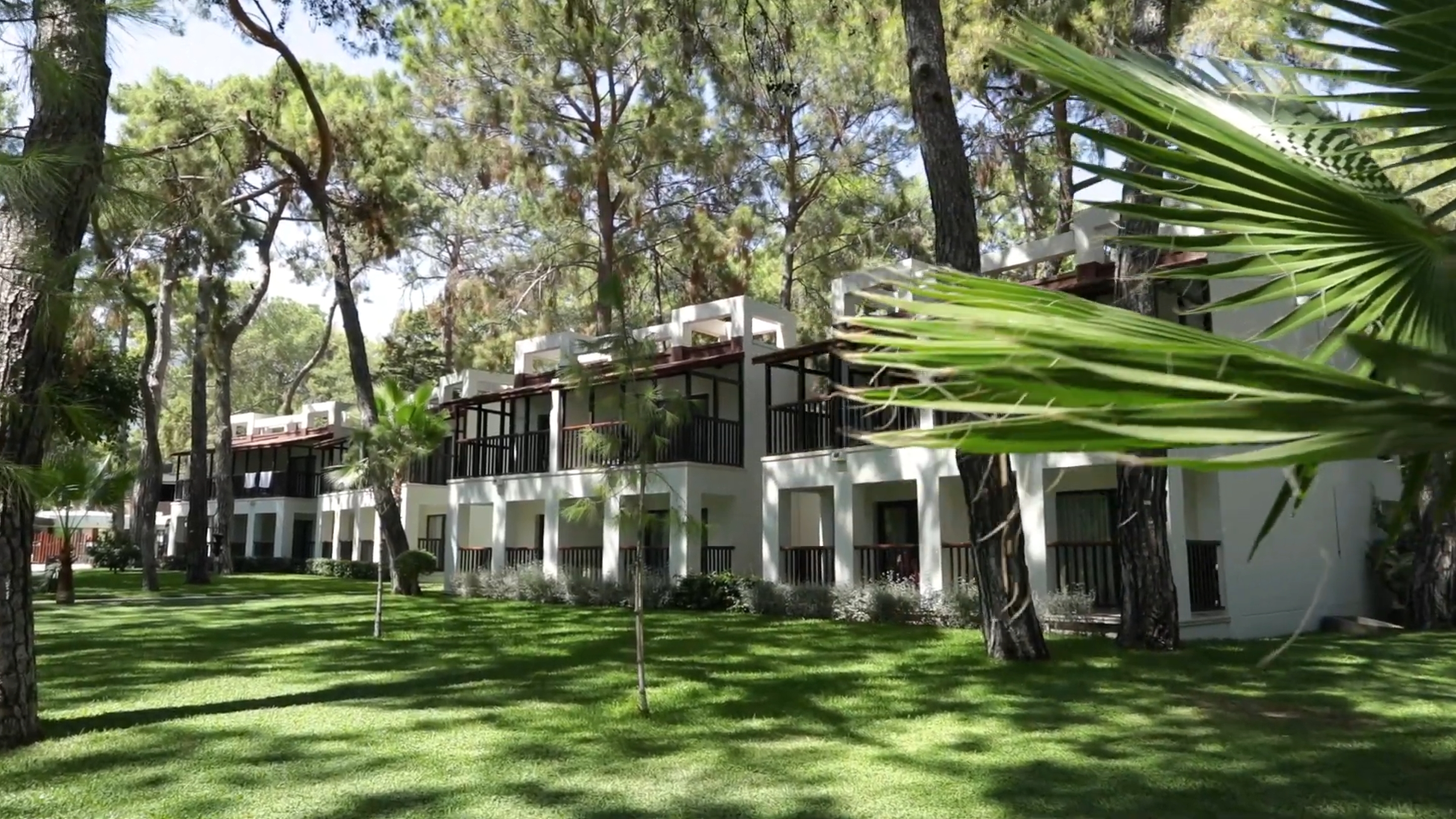 Family Room Standard