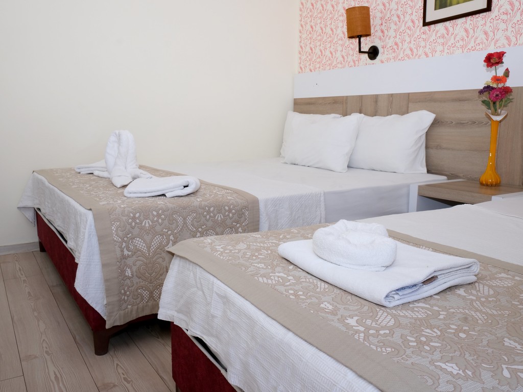 Double or Twin Standard