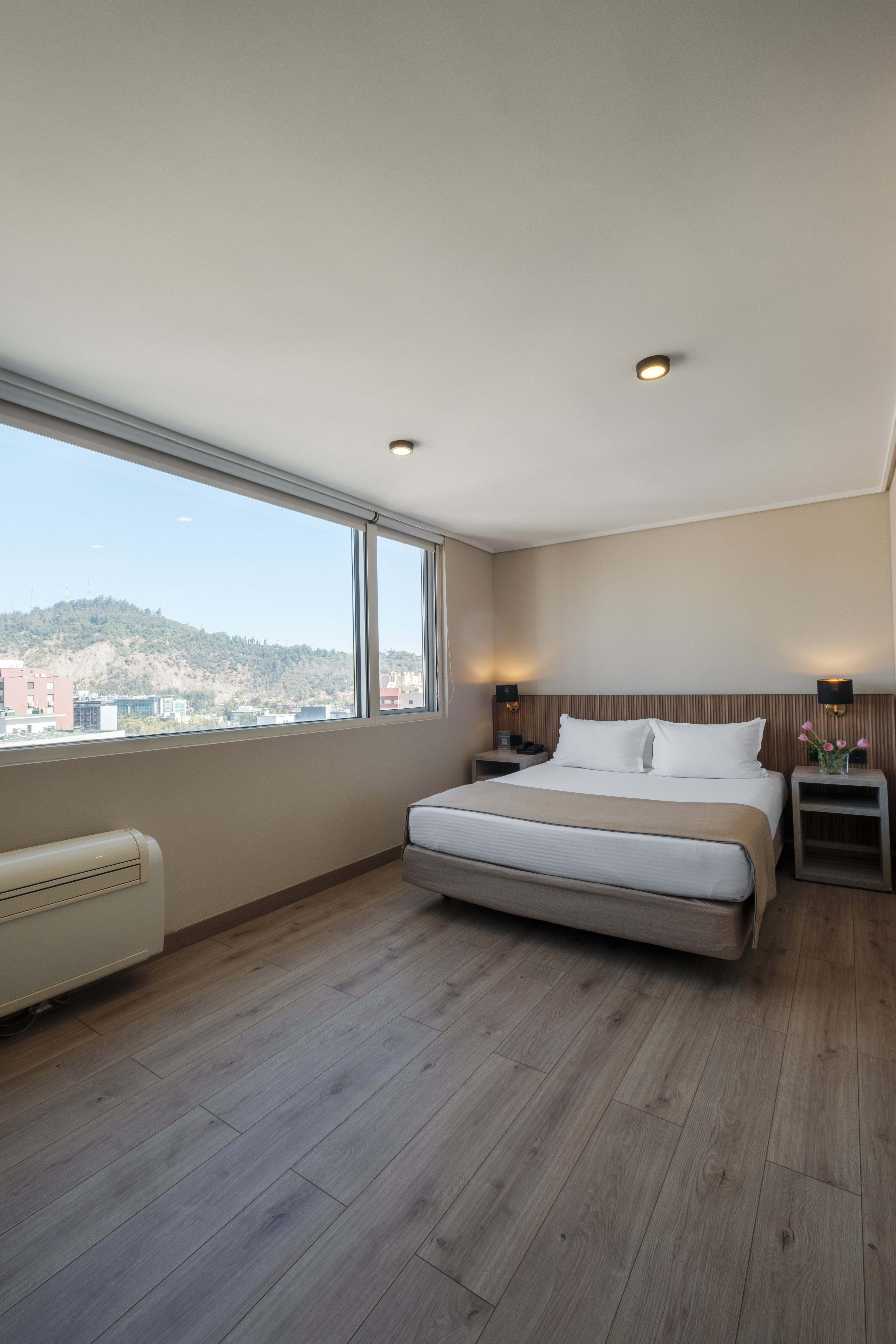 Room Executive King Bed