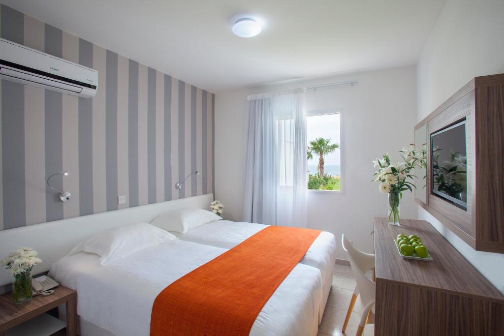 Apartment One Bedroom