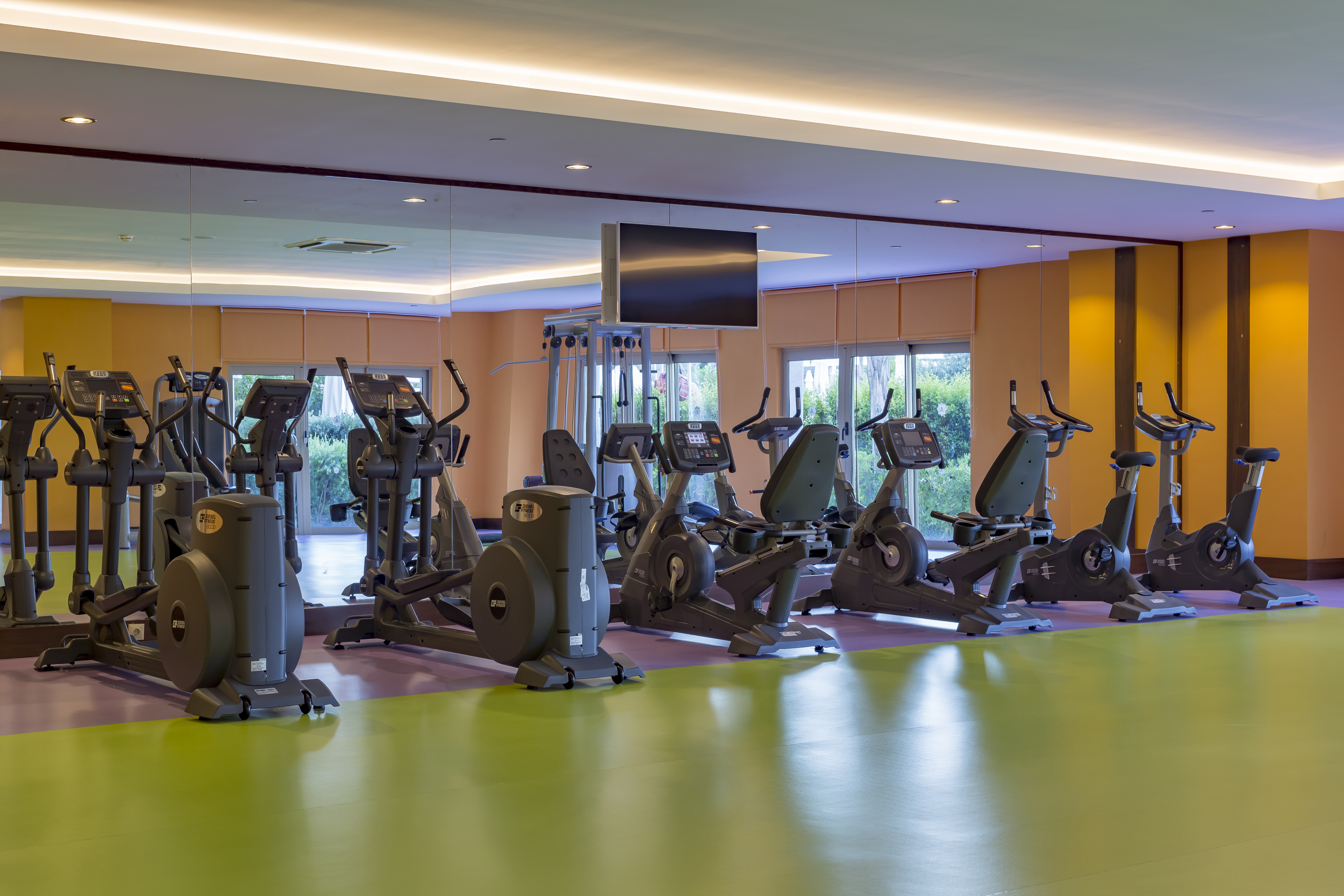 Sports and Entertainment