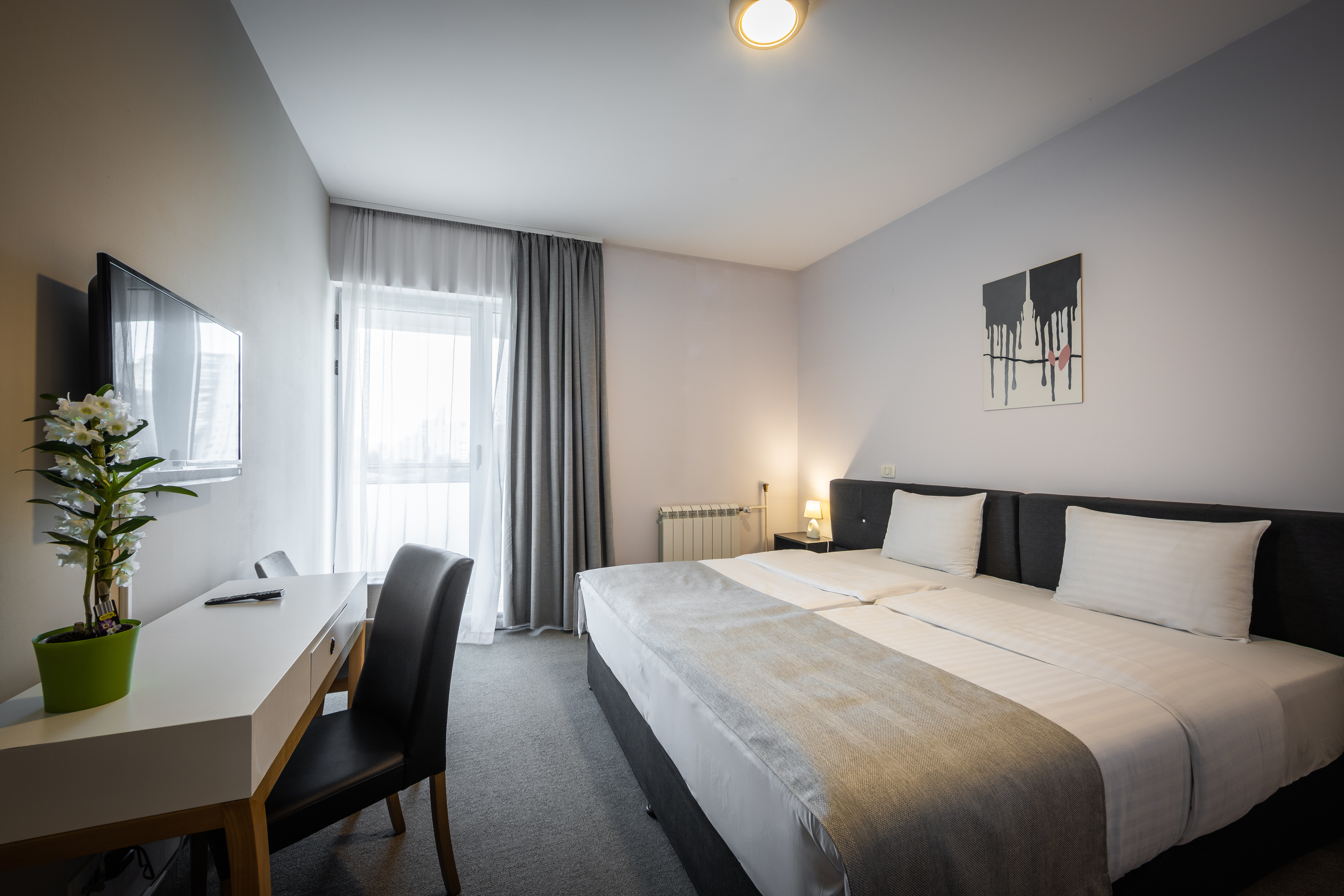 Double or Twin Standard