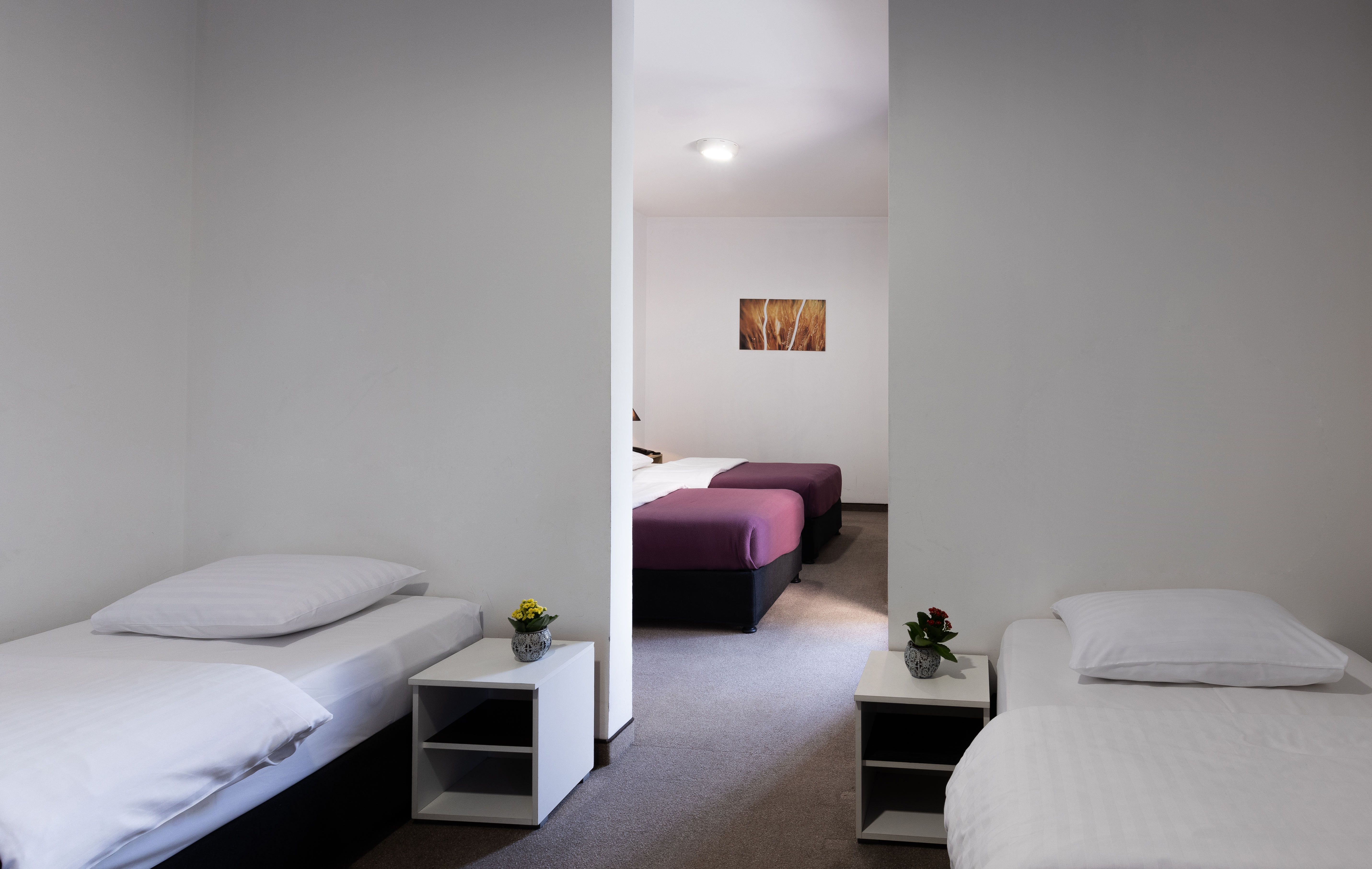 Family Room Capacity 4