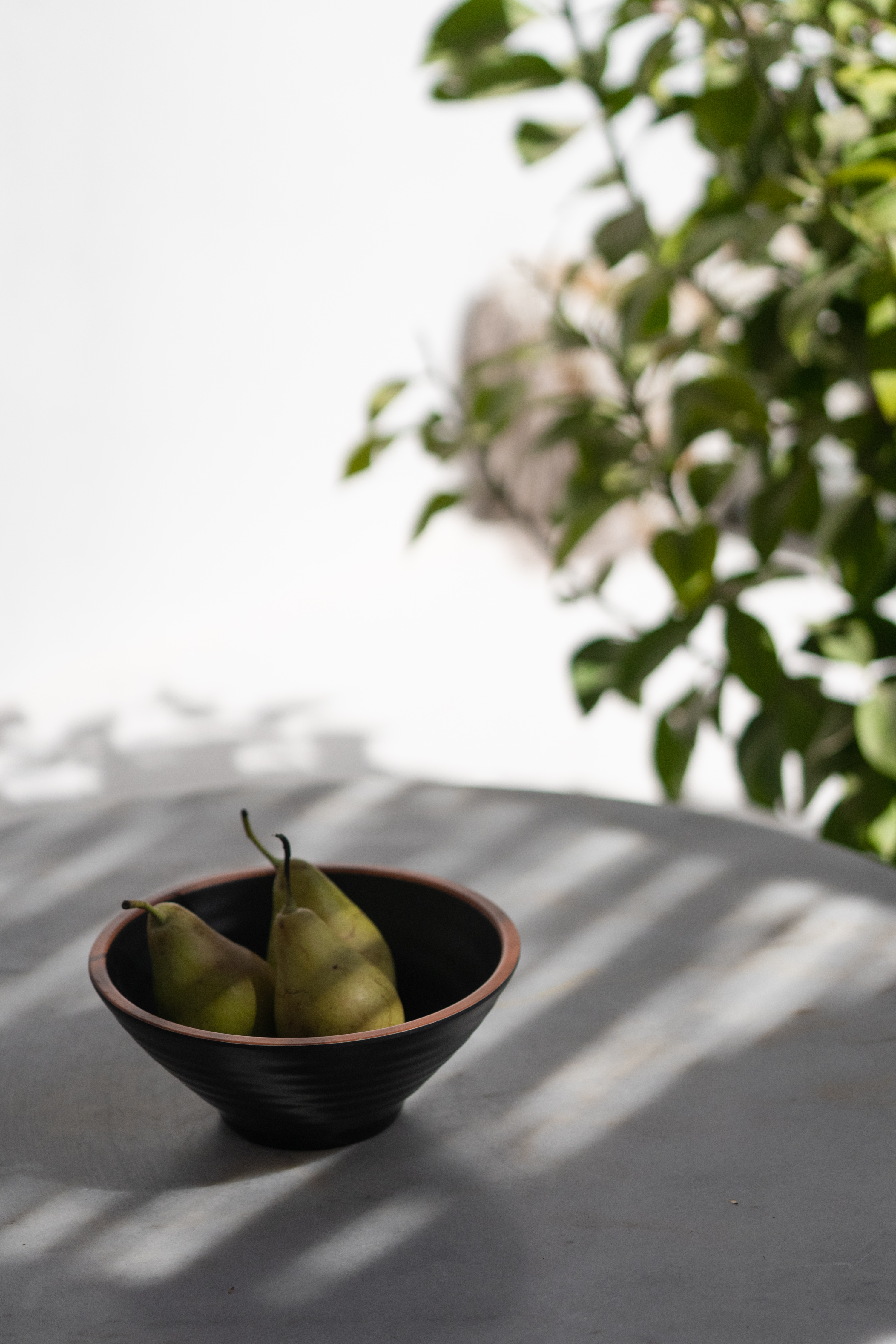 Double or Twin Superior Garden View