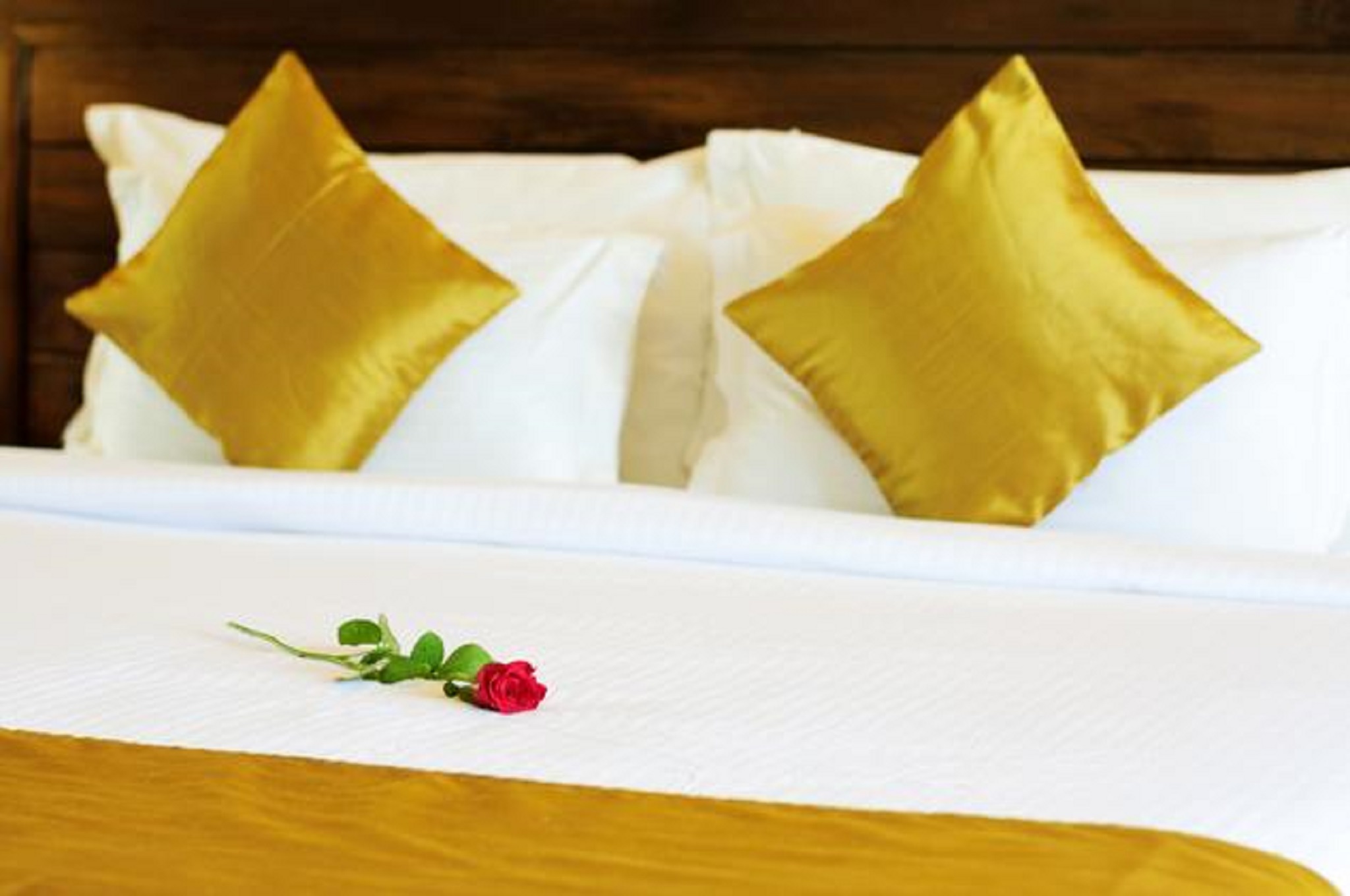 Double or Twin Deluxe