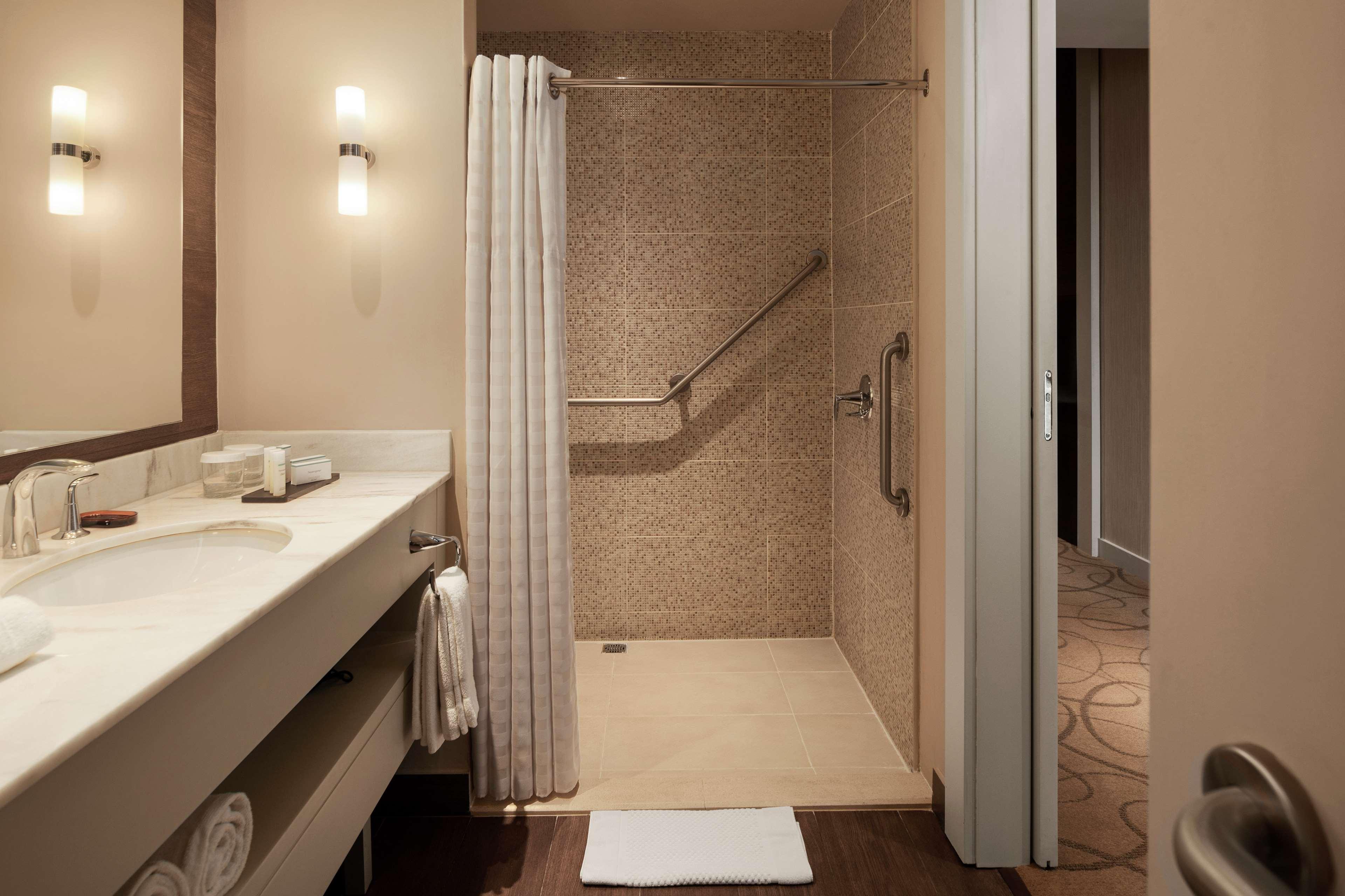 Suite King Bed One Bedroom 