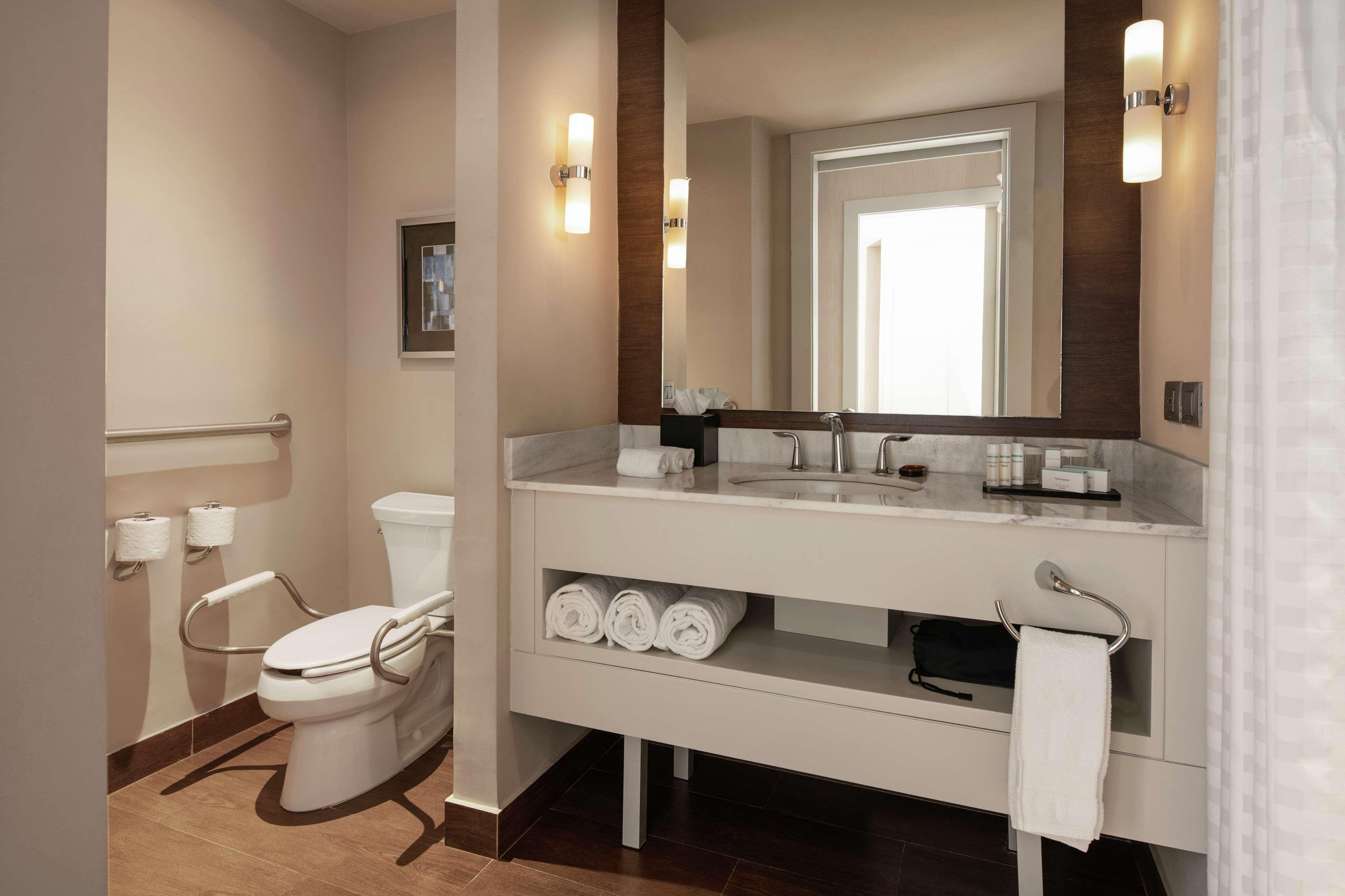 Suite King Bed One Bedroom 